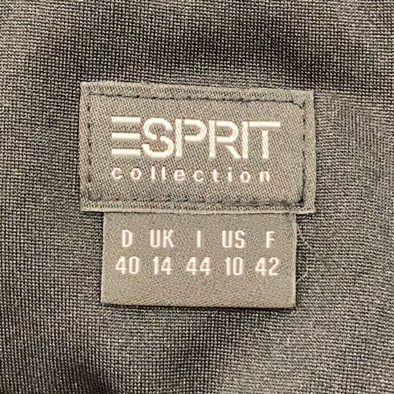 ESPRIT Collection