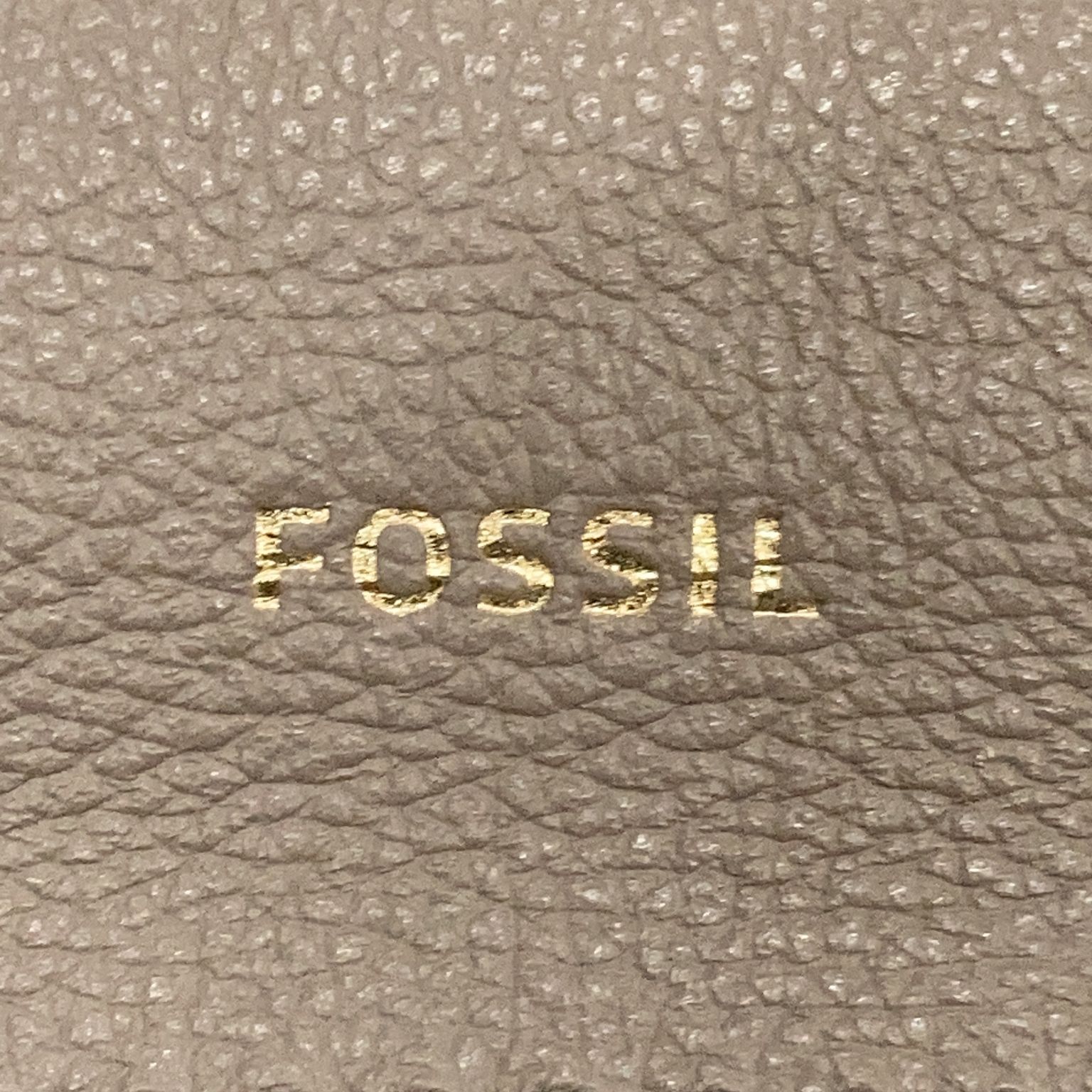 Fossil