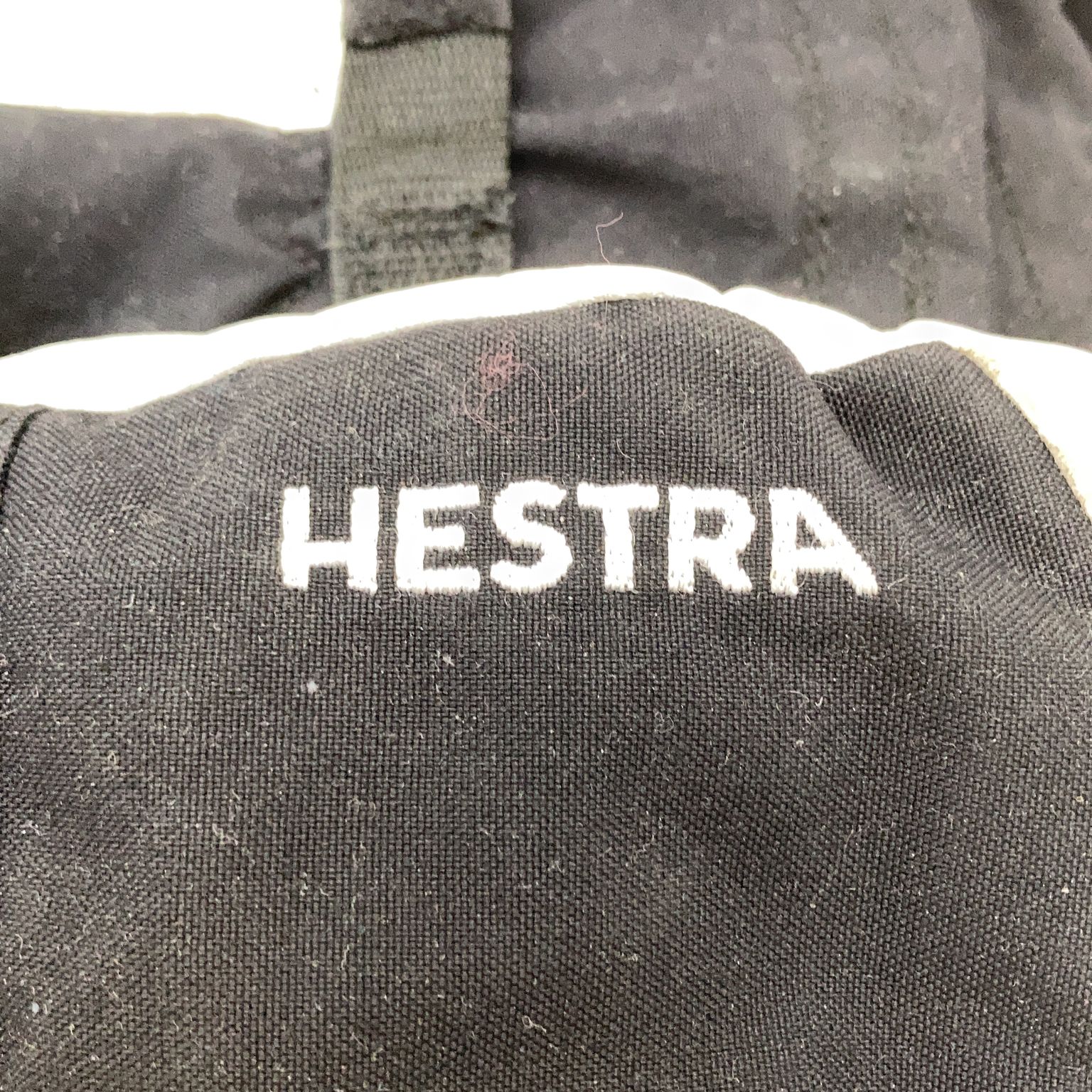 Hestra