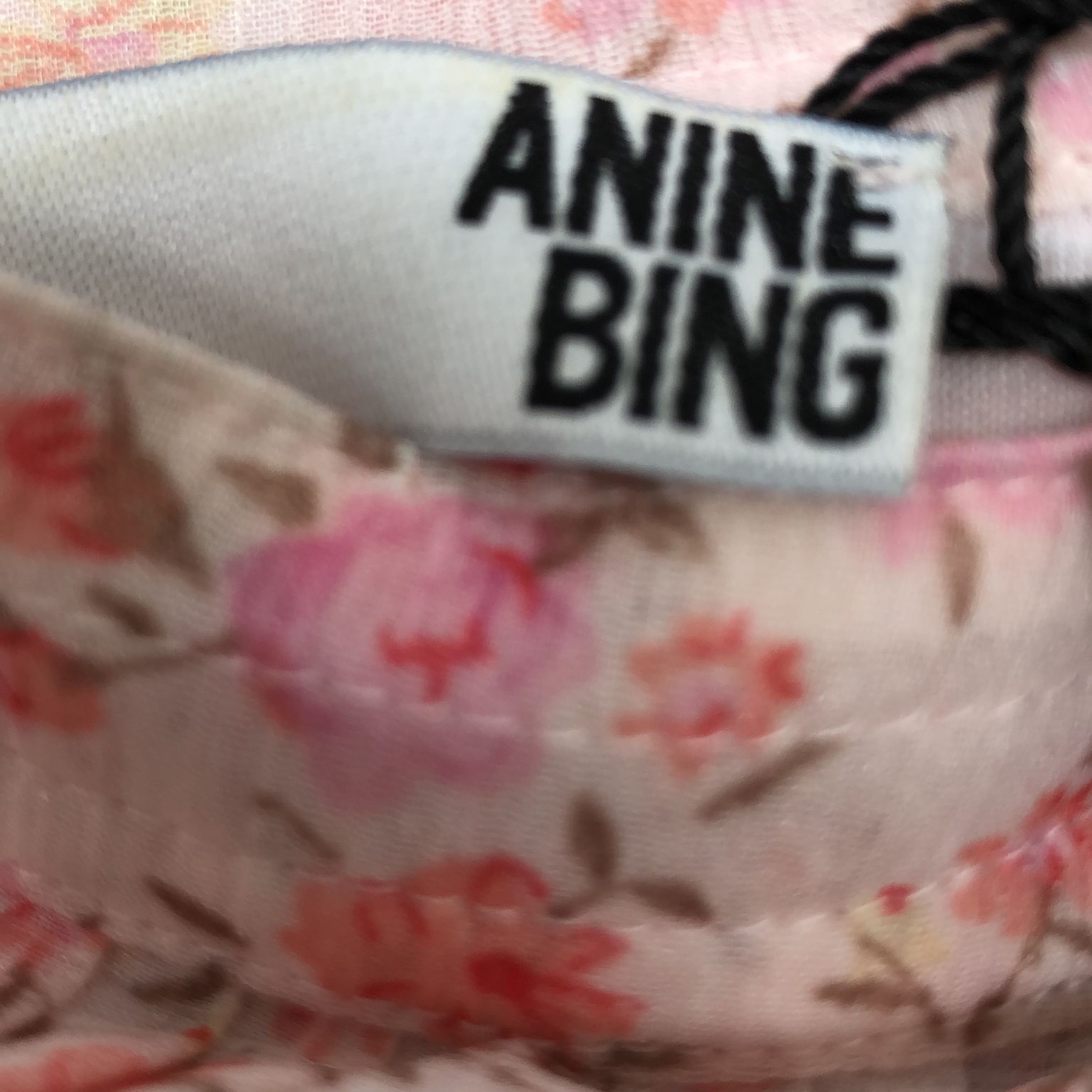 Anine Bing