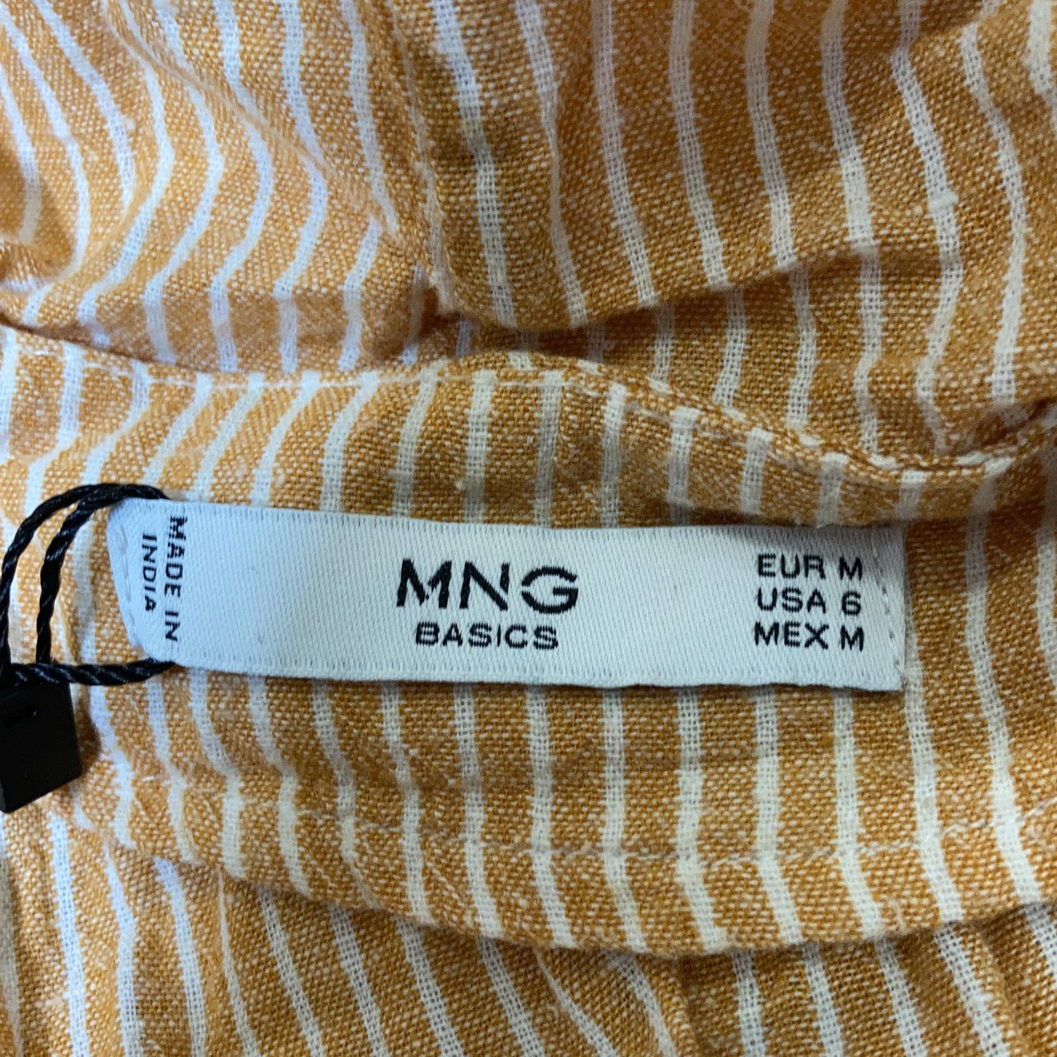 Mango Basics