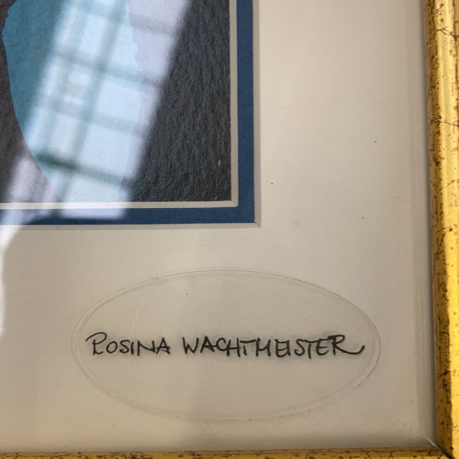 Rosina Wachtmeister