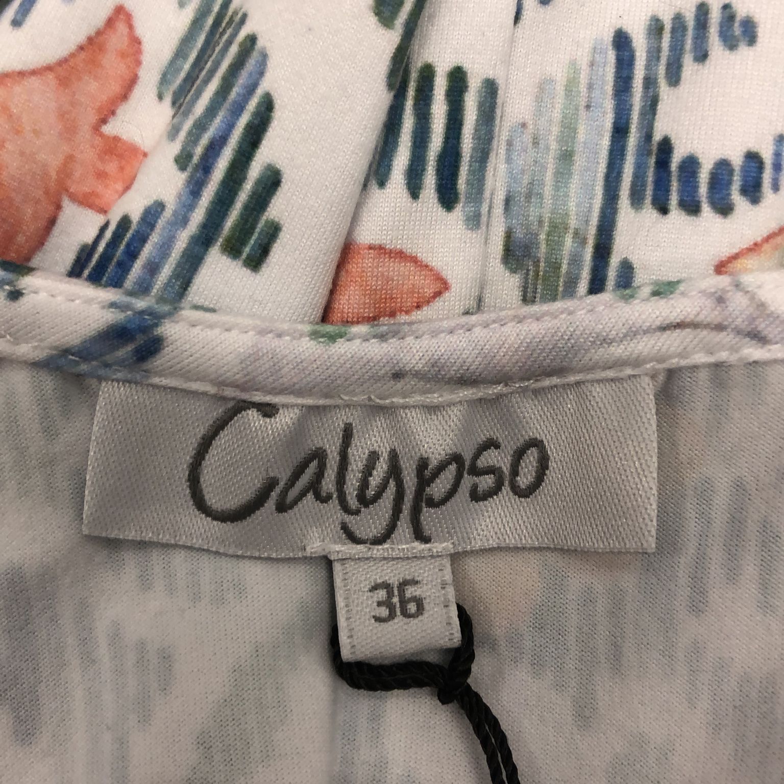 Calypso