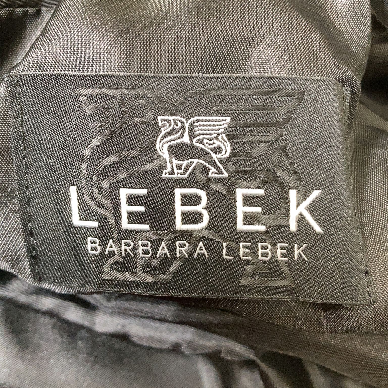 Barbara Lebek