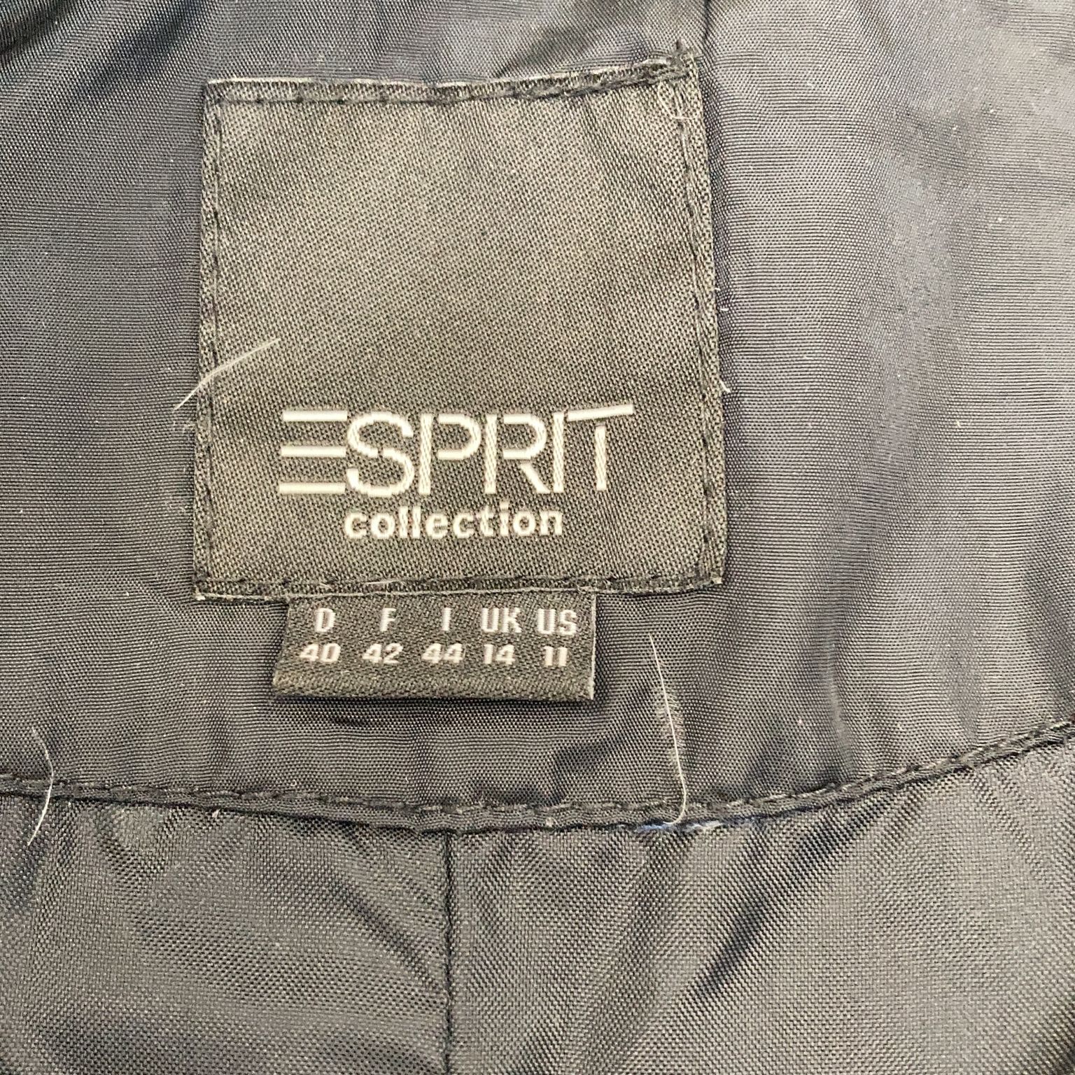 ESPRIT Collection