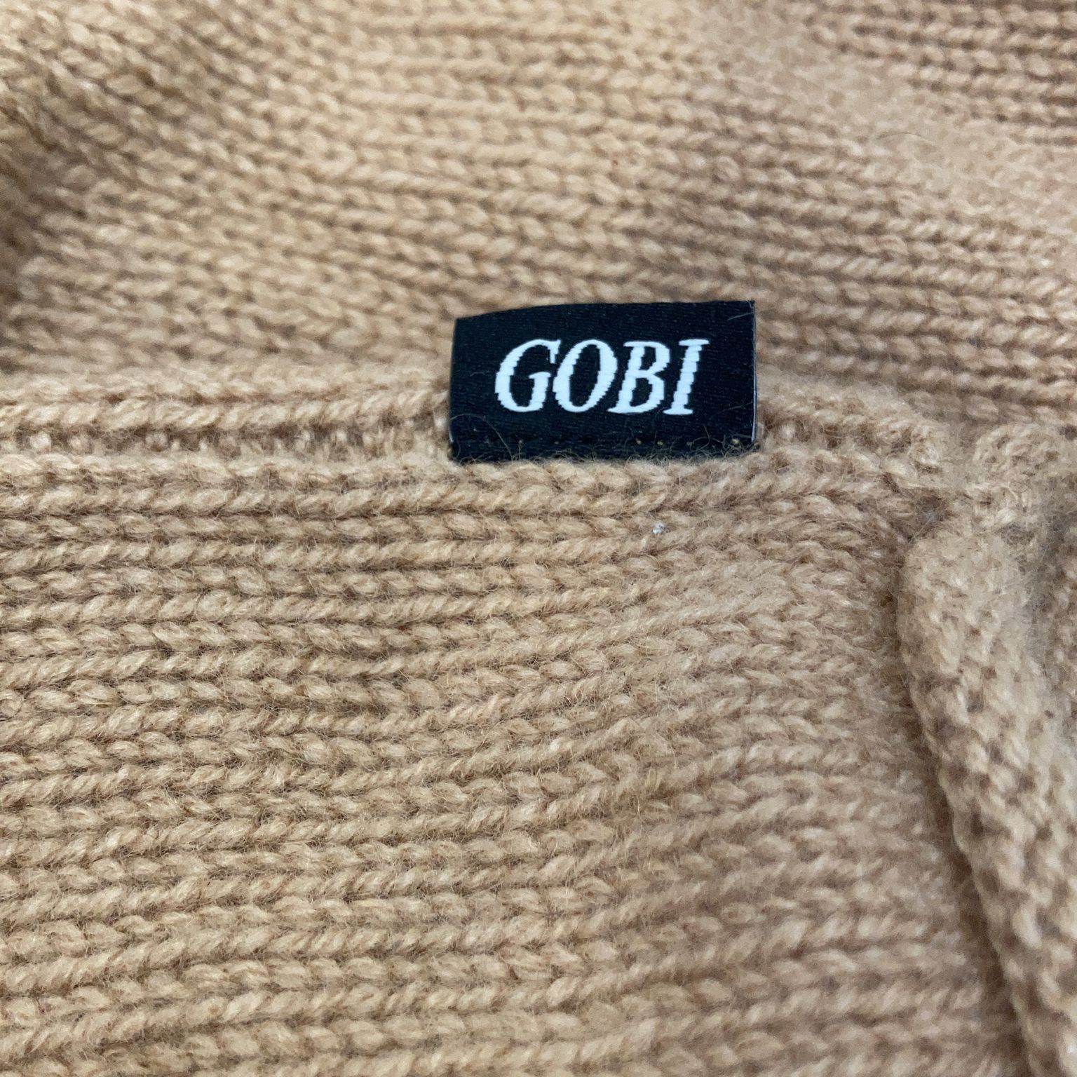 Gobi