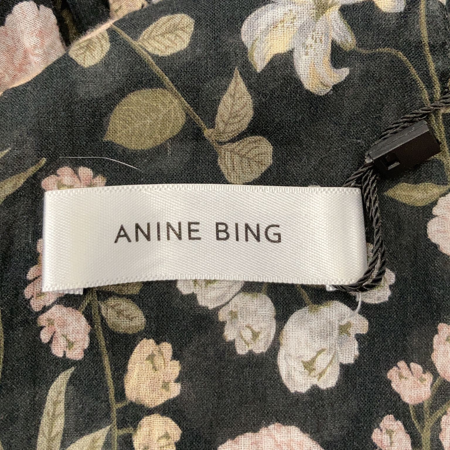 Anine Bing