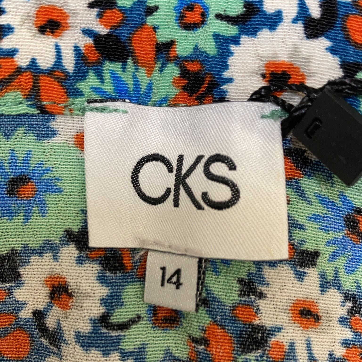 CKS