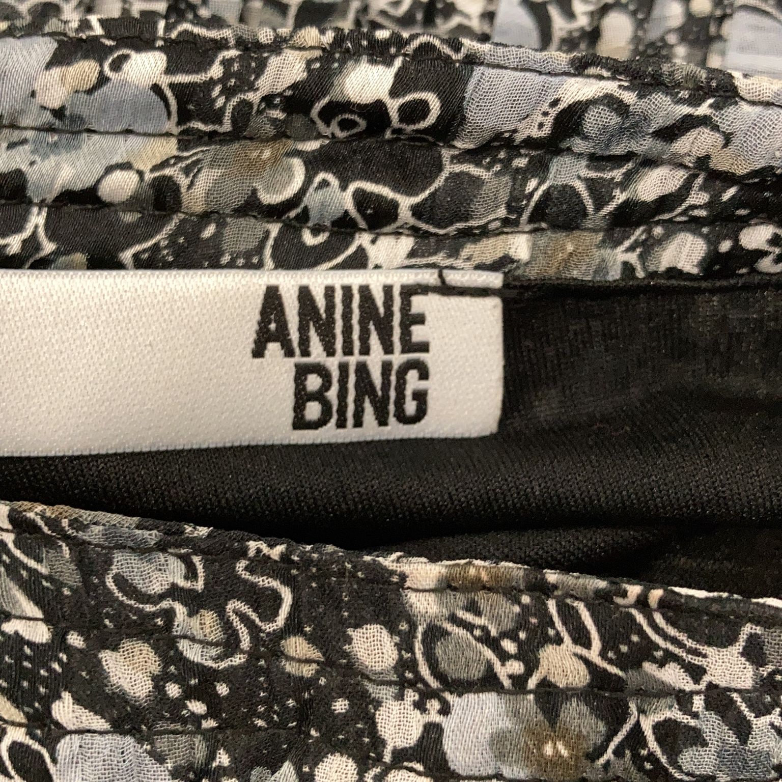 Anine Bing