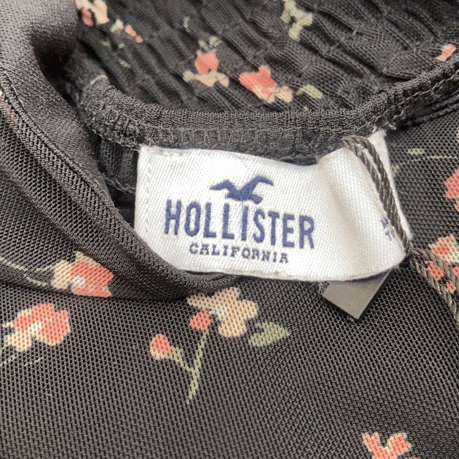 Hollister