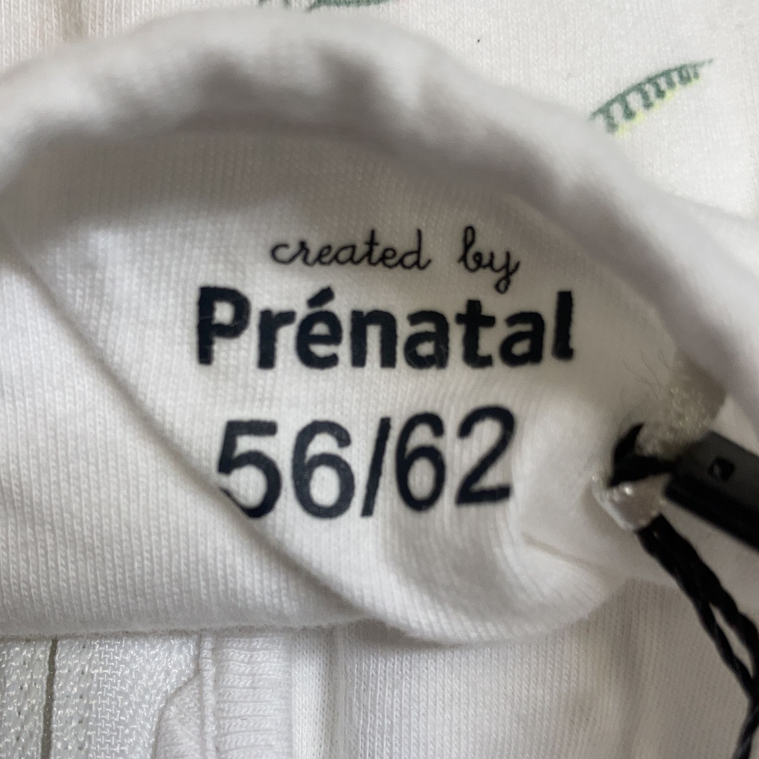 Prenatal