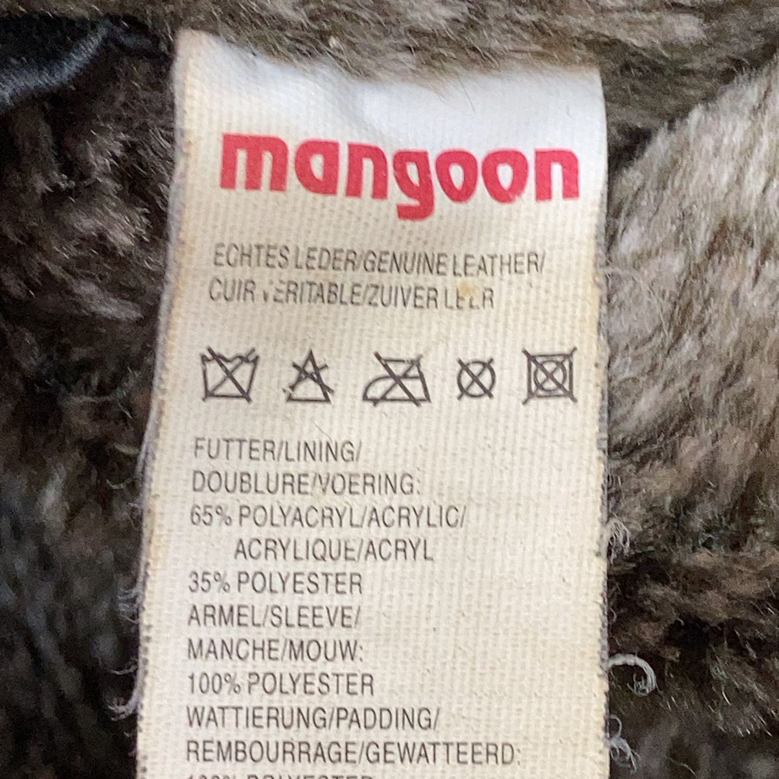 Mangoon