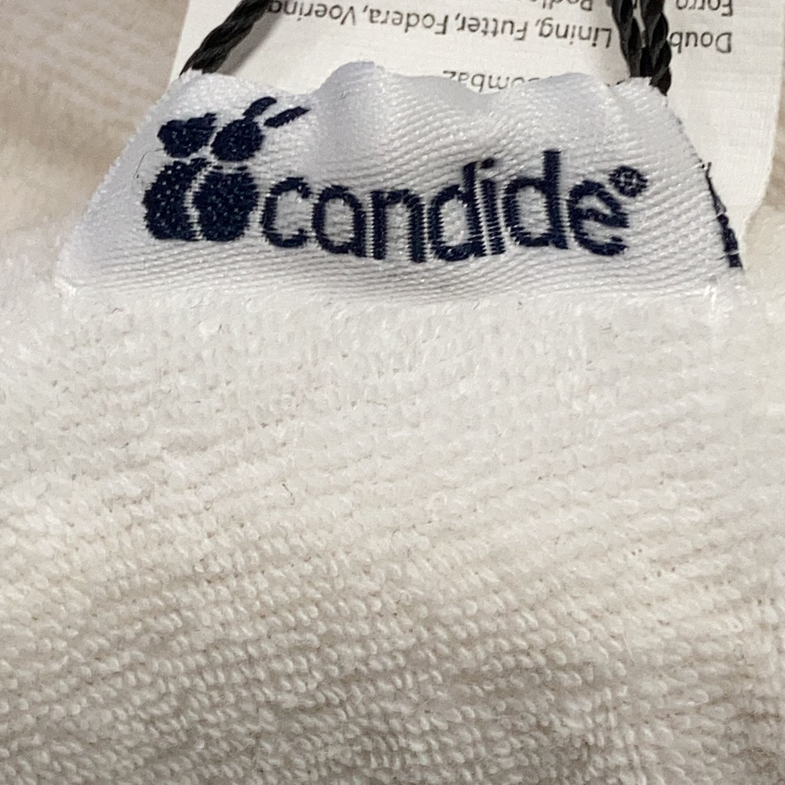 Candide