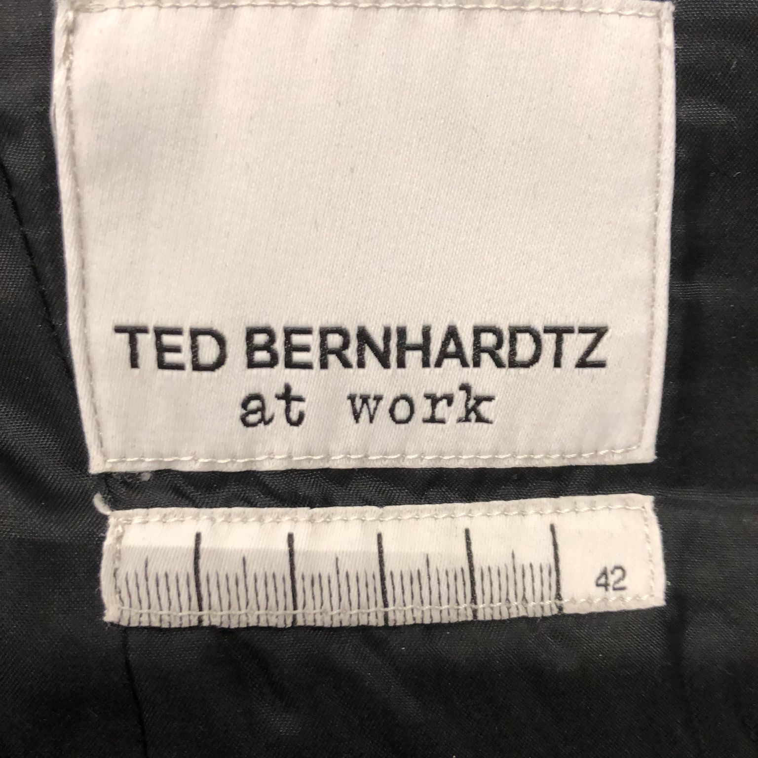 Ted Bernhardtz at Work