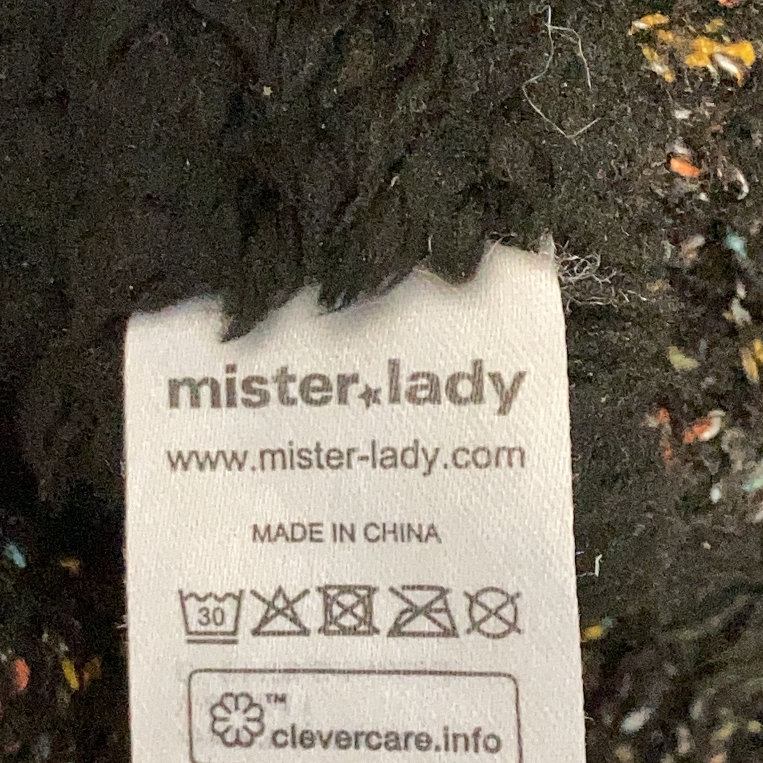 Mister Lady