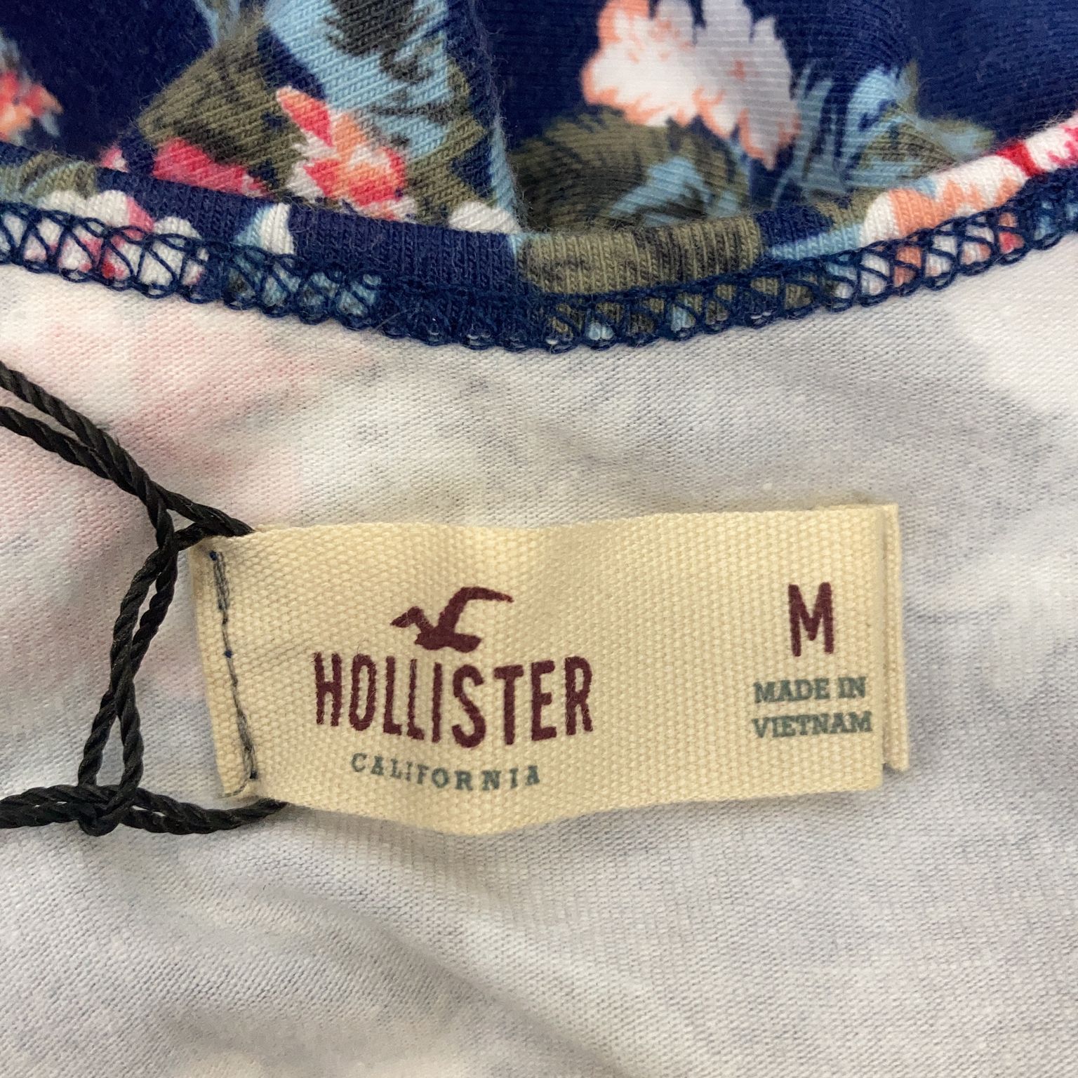 Hollister