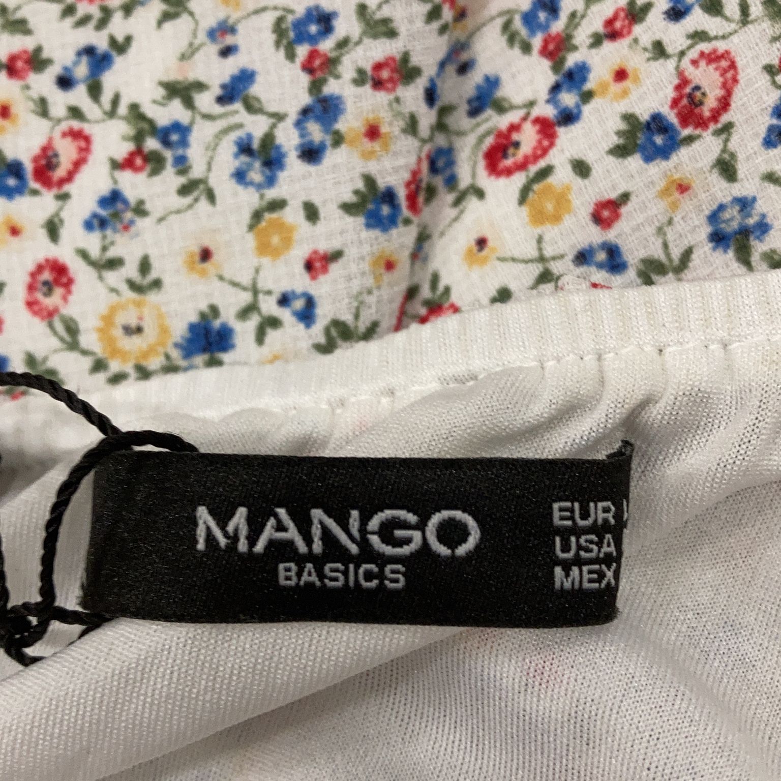 Mango Basics