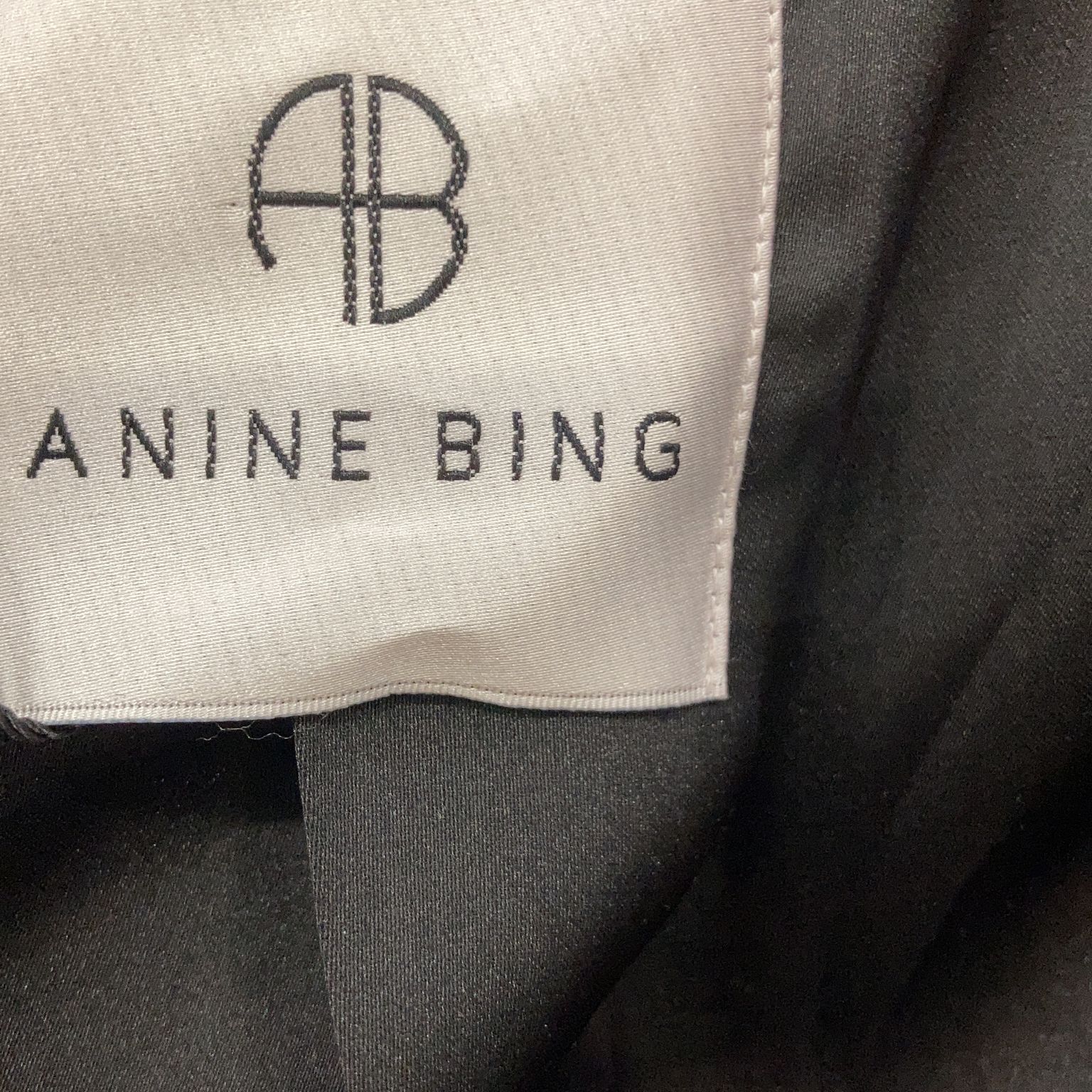 Anine Bing