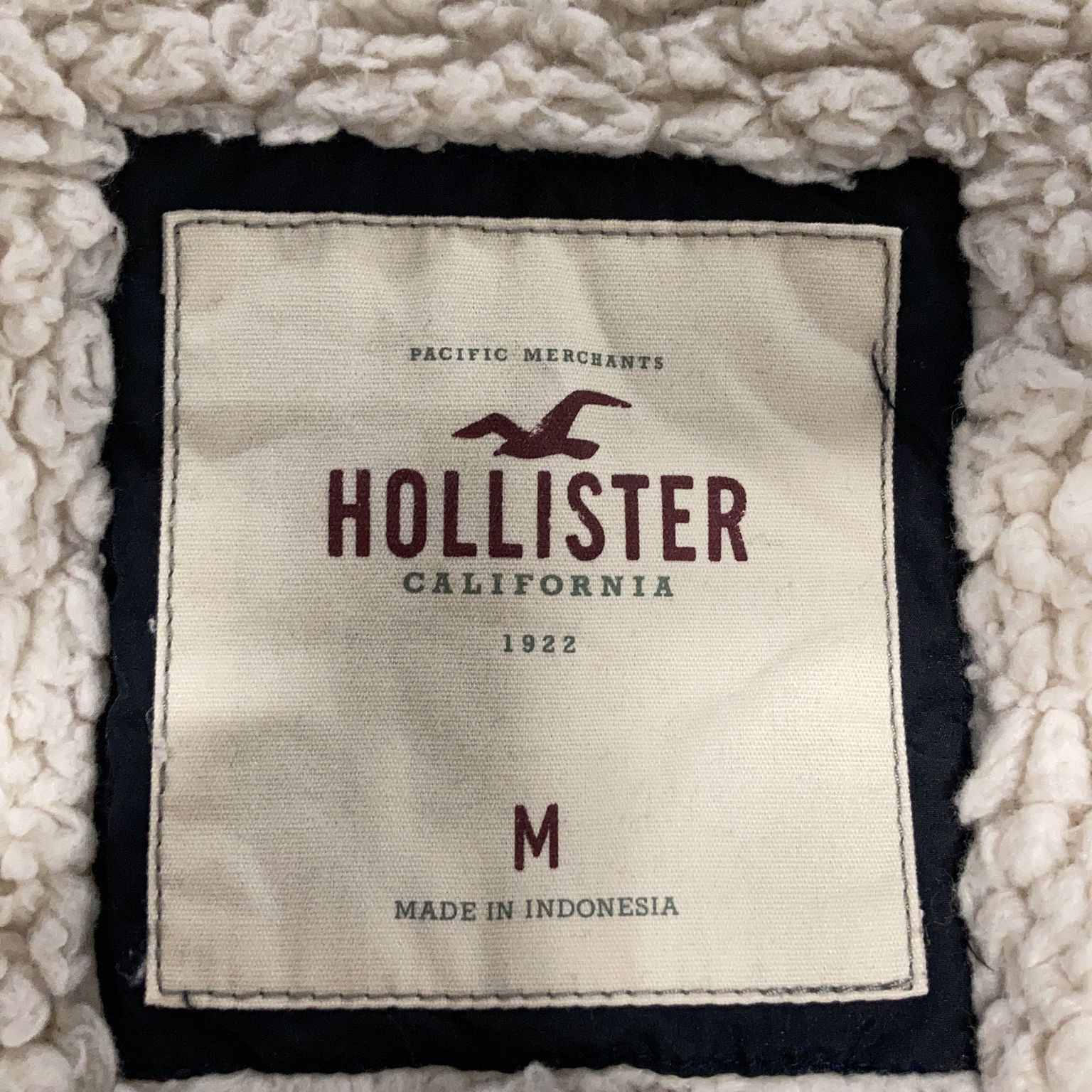 Hollister