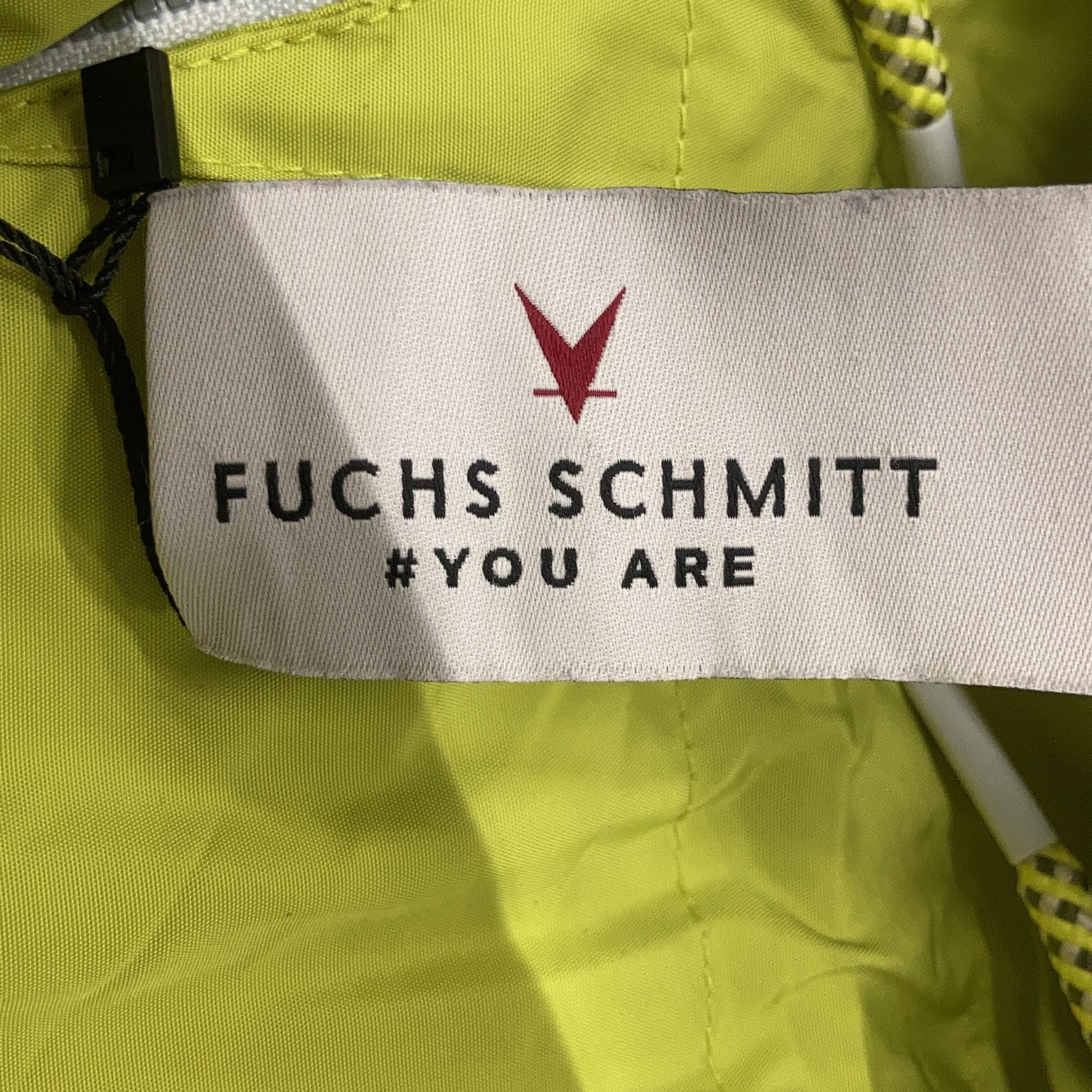 Fuchs Schmitt