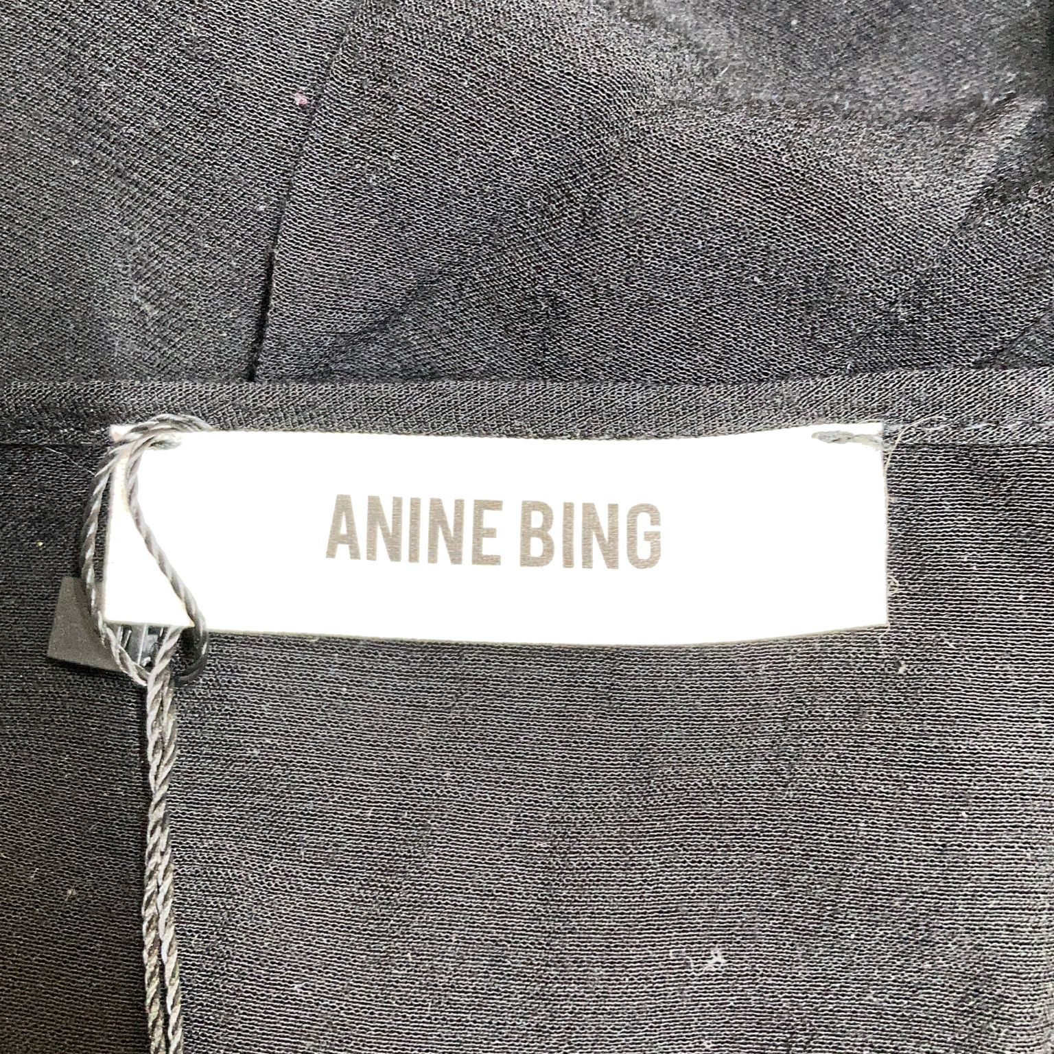 Anine Bing