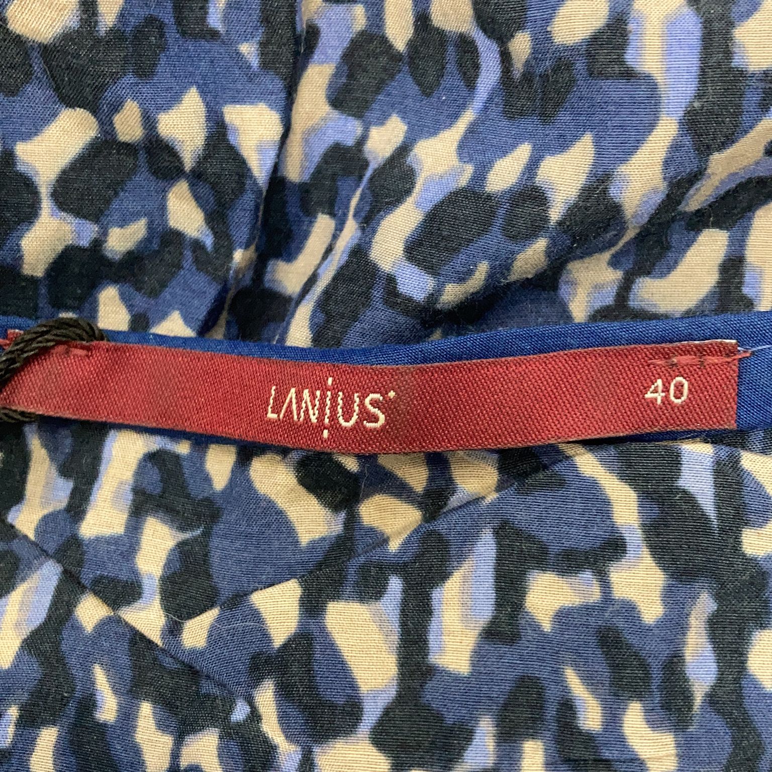 Lanius