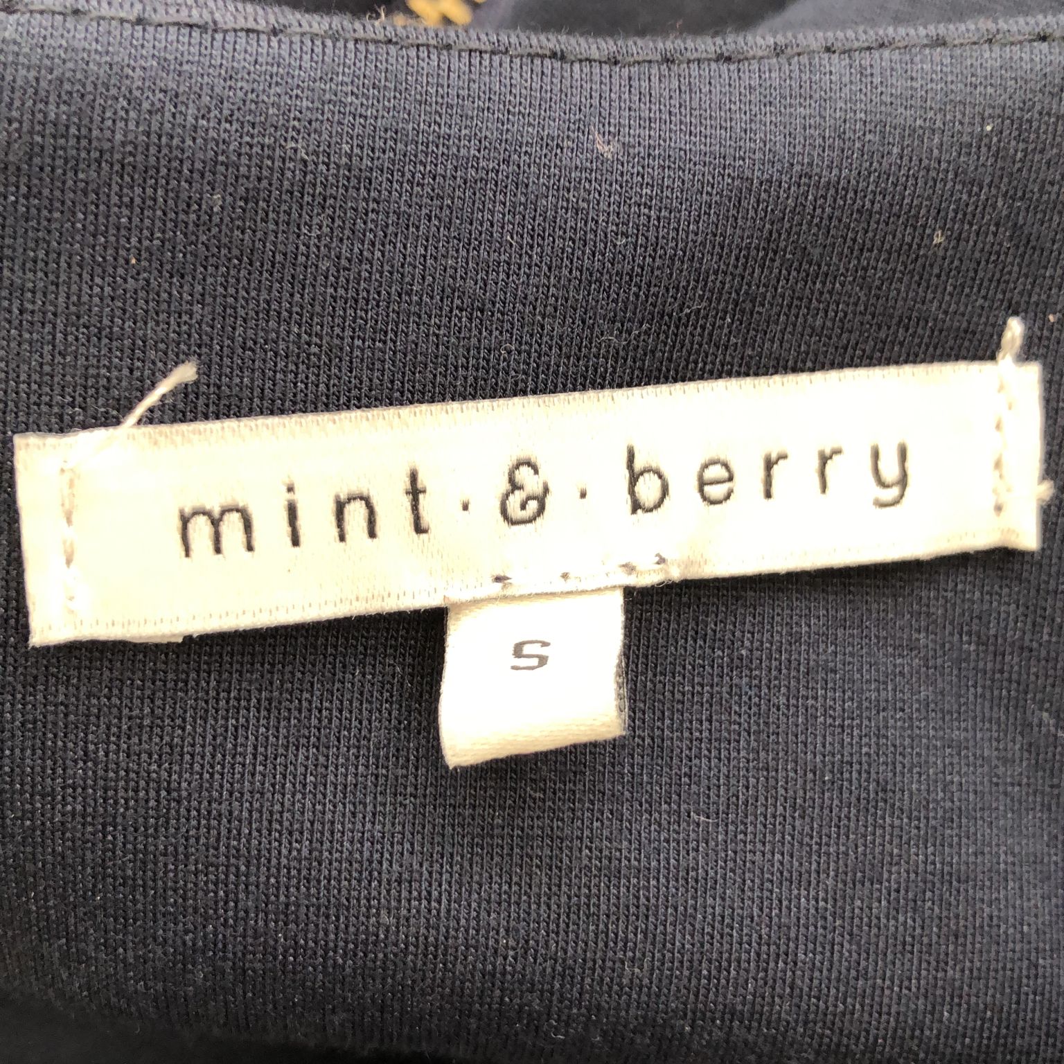 Mint  Berry