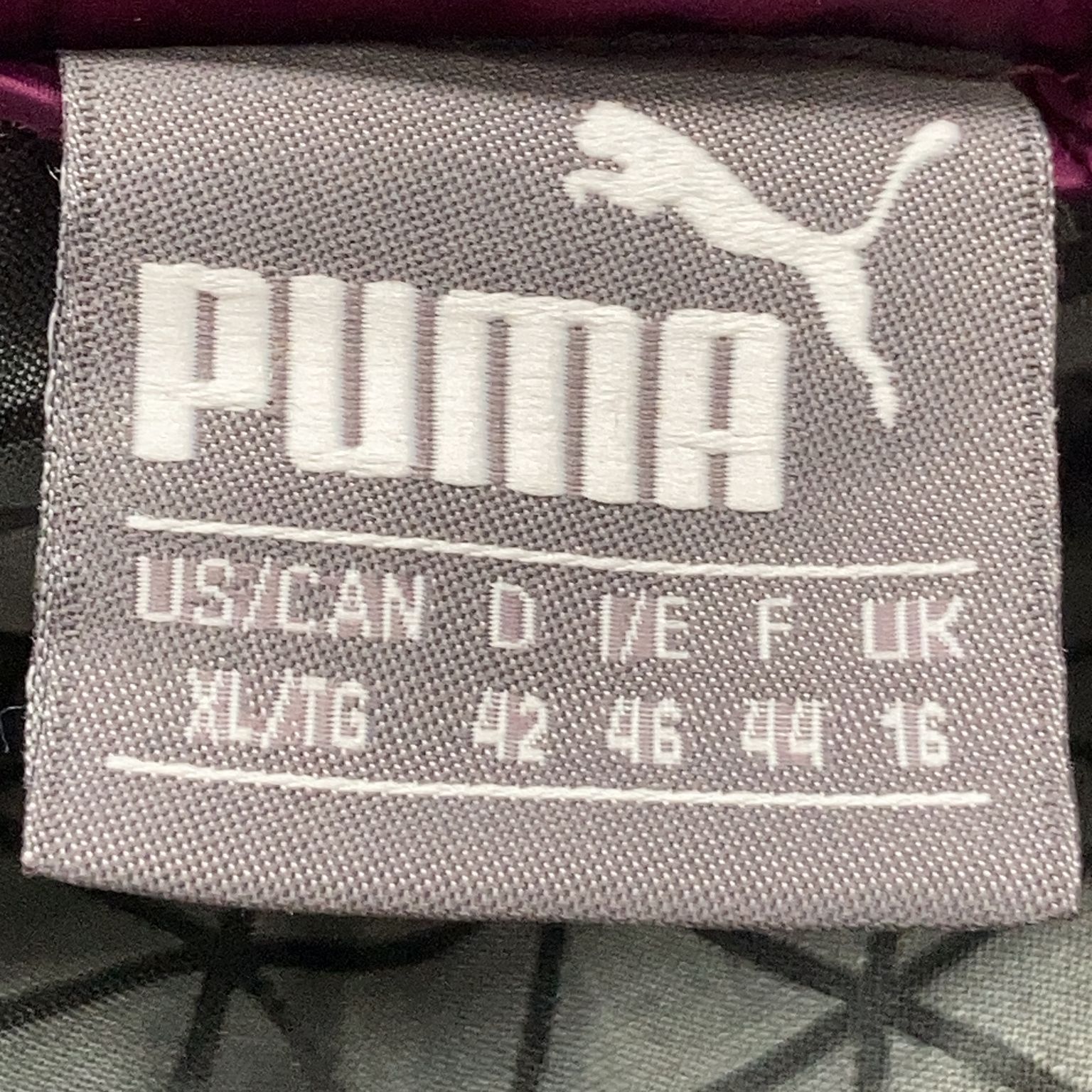 Puma