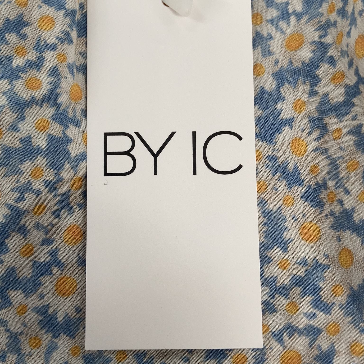 BYIC