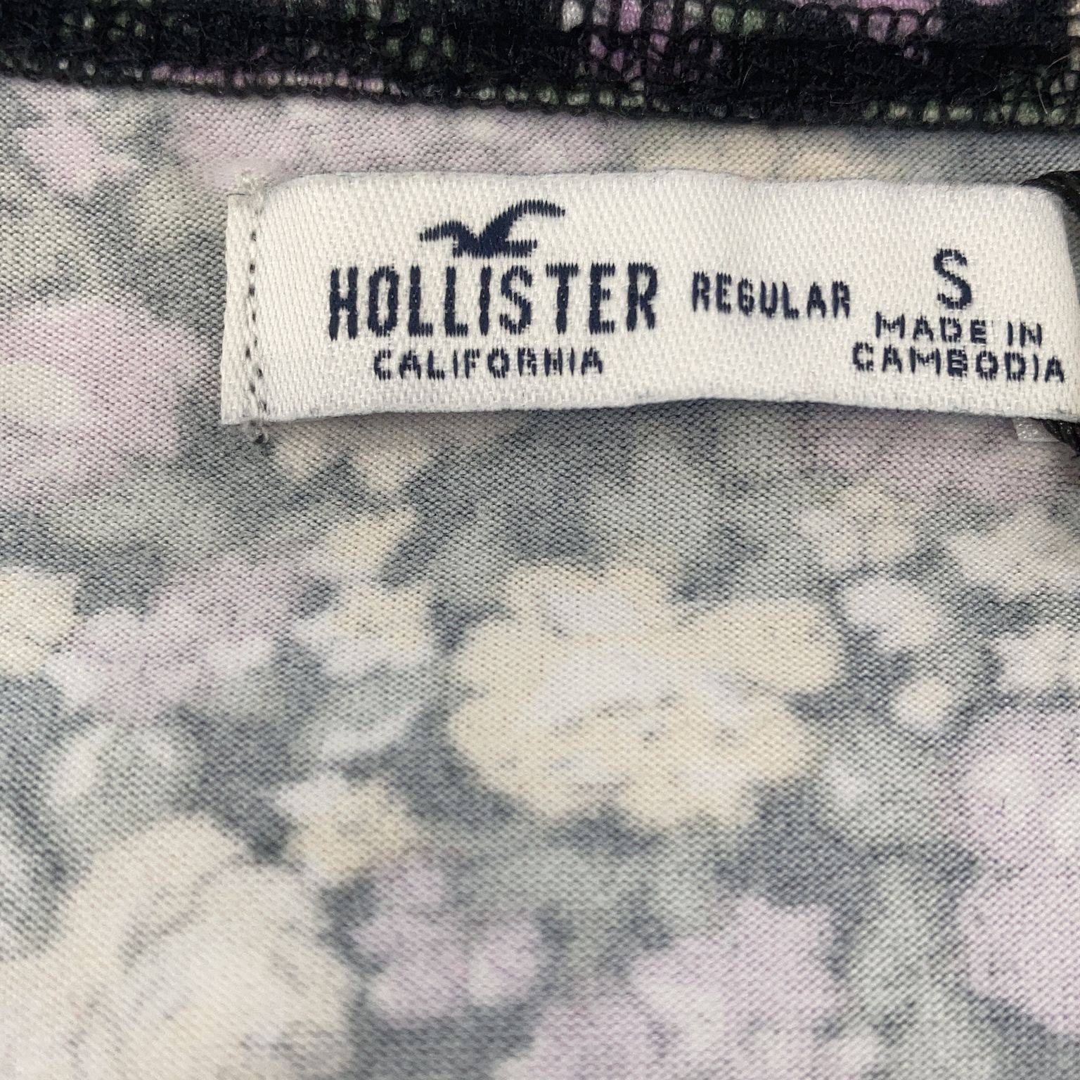 Hollister