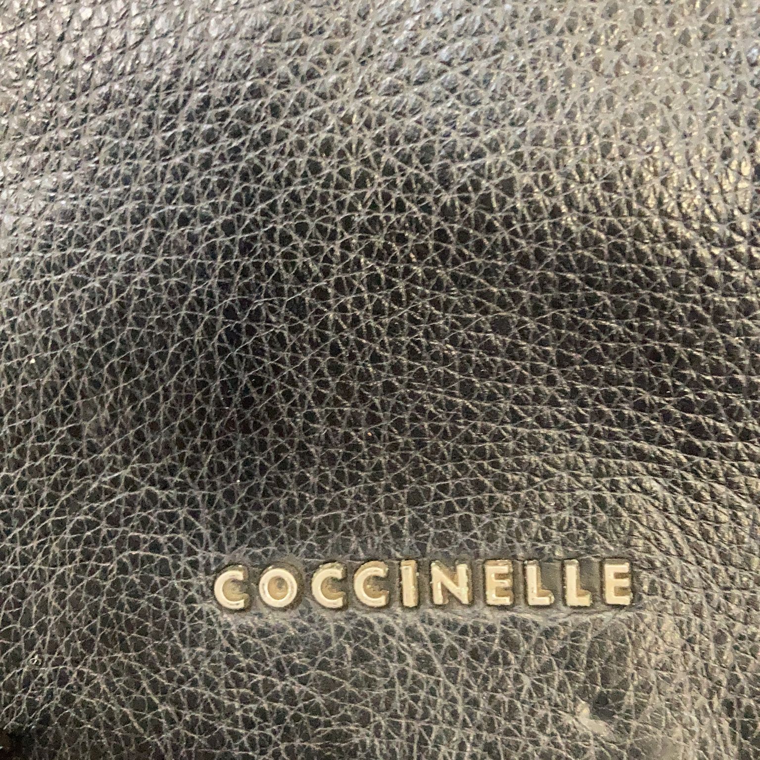 Coccinelle