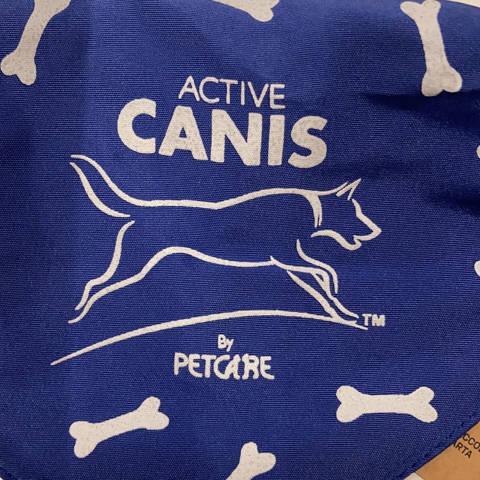 Active Canis