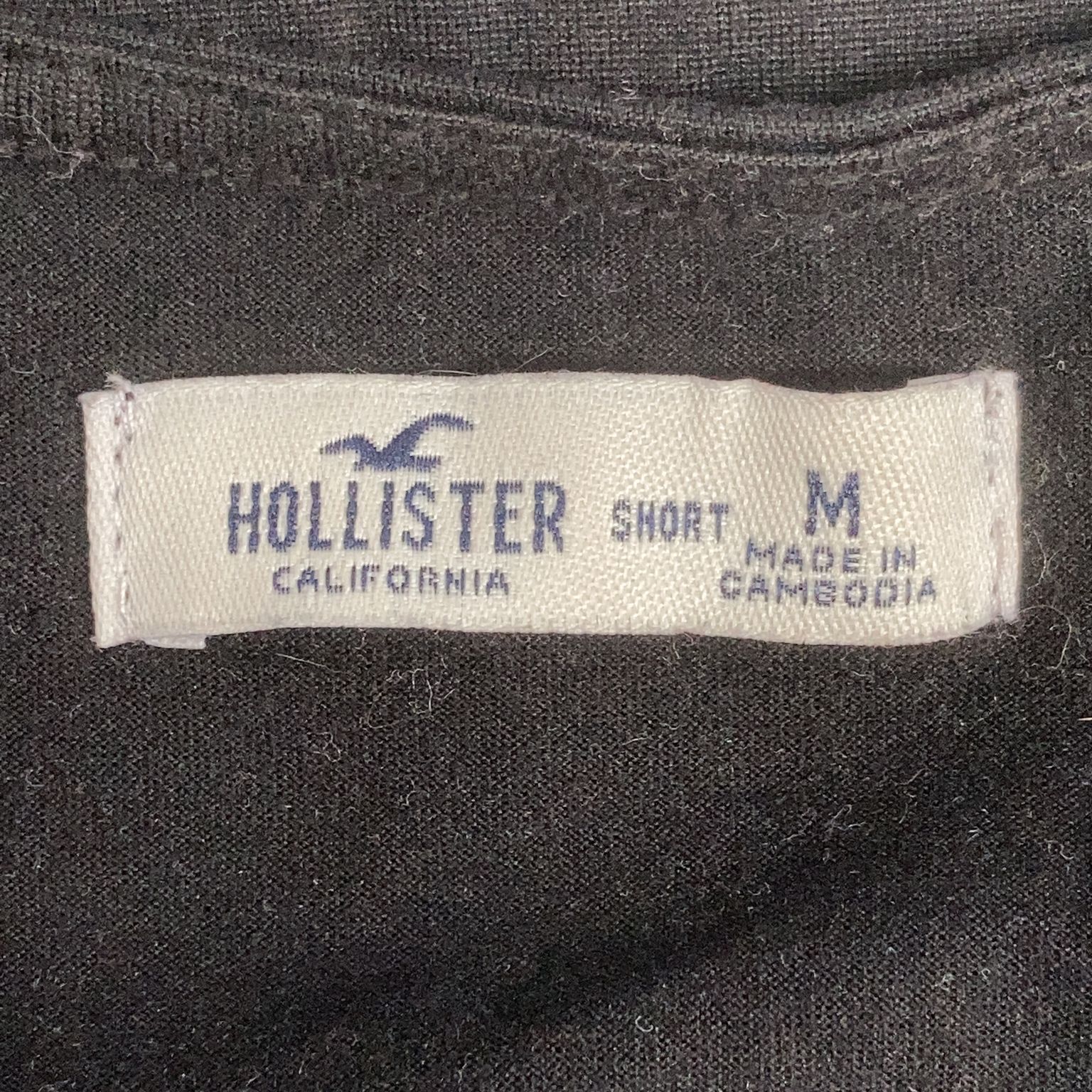 Hollister California