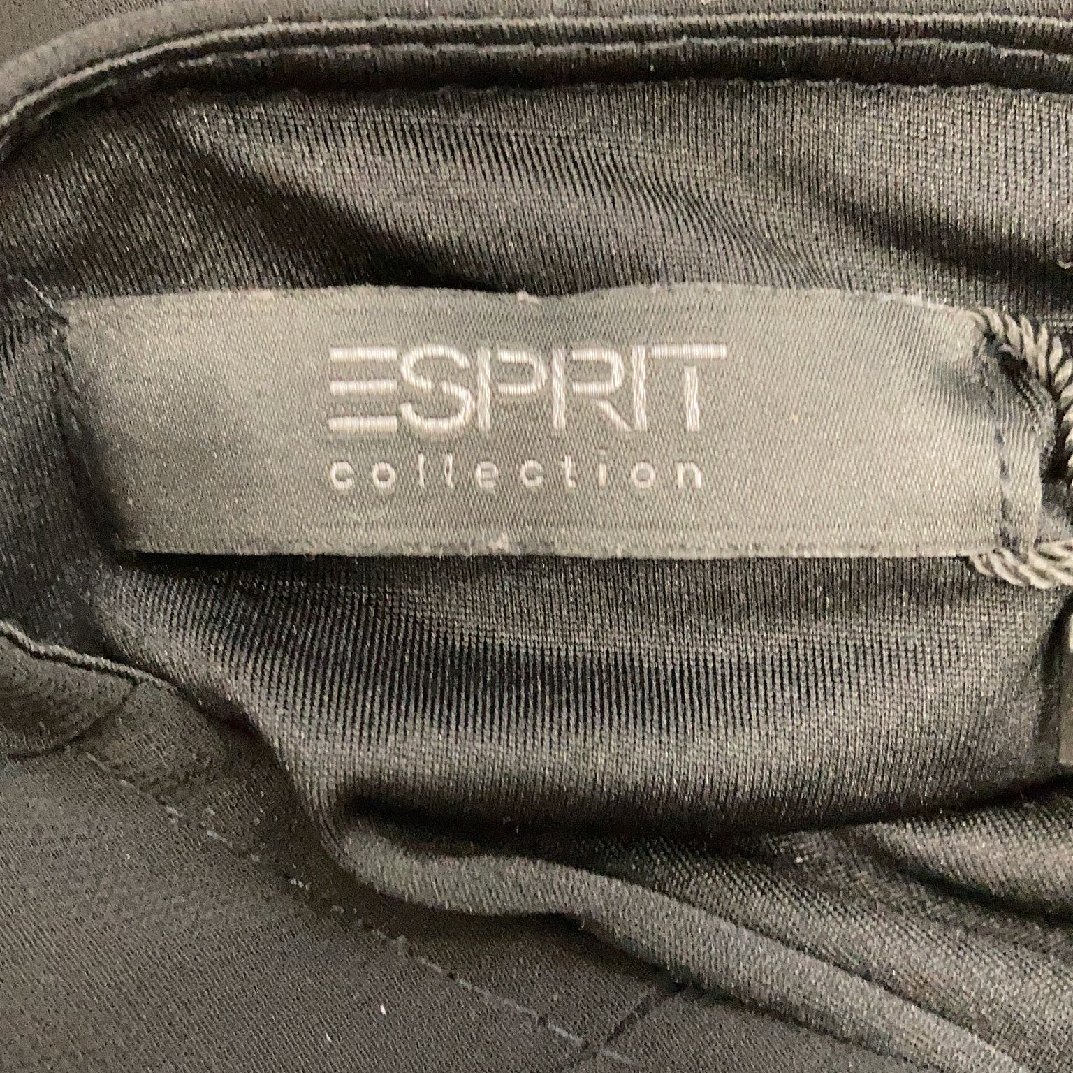 ESPRIT Collection