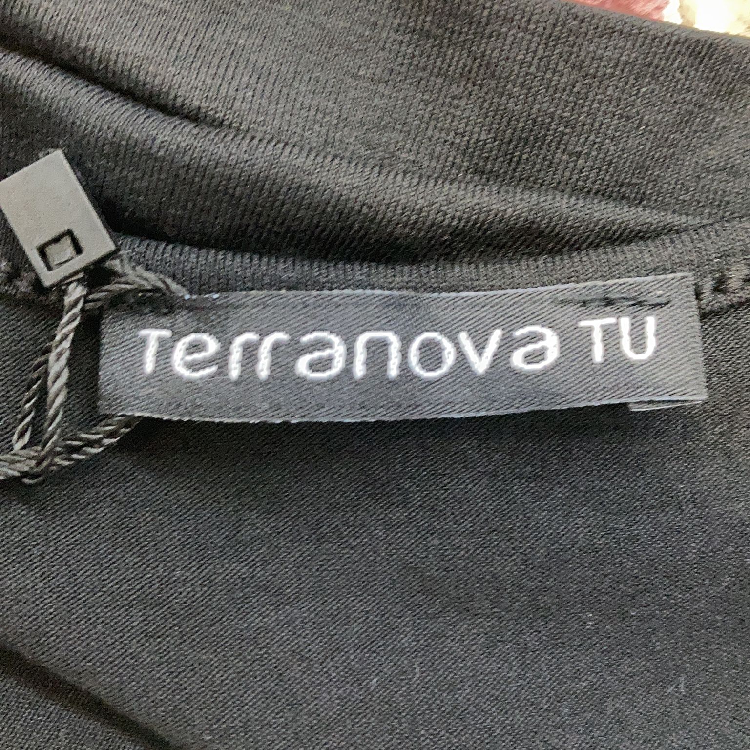 Terranova