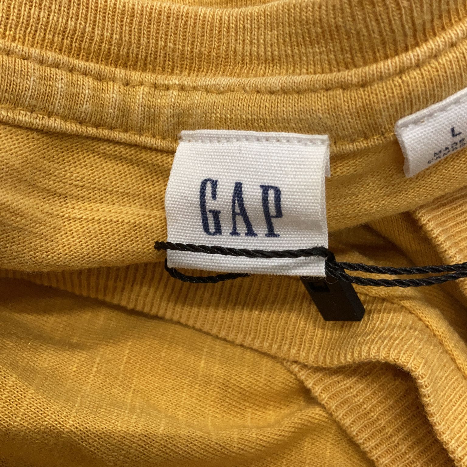 Gap