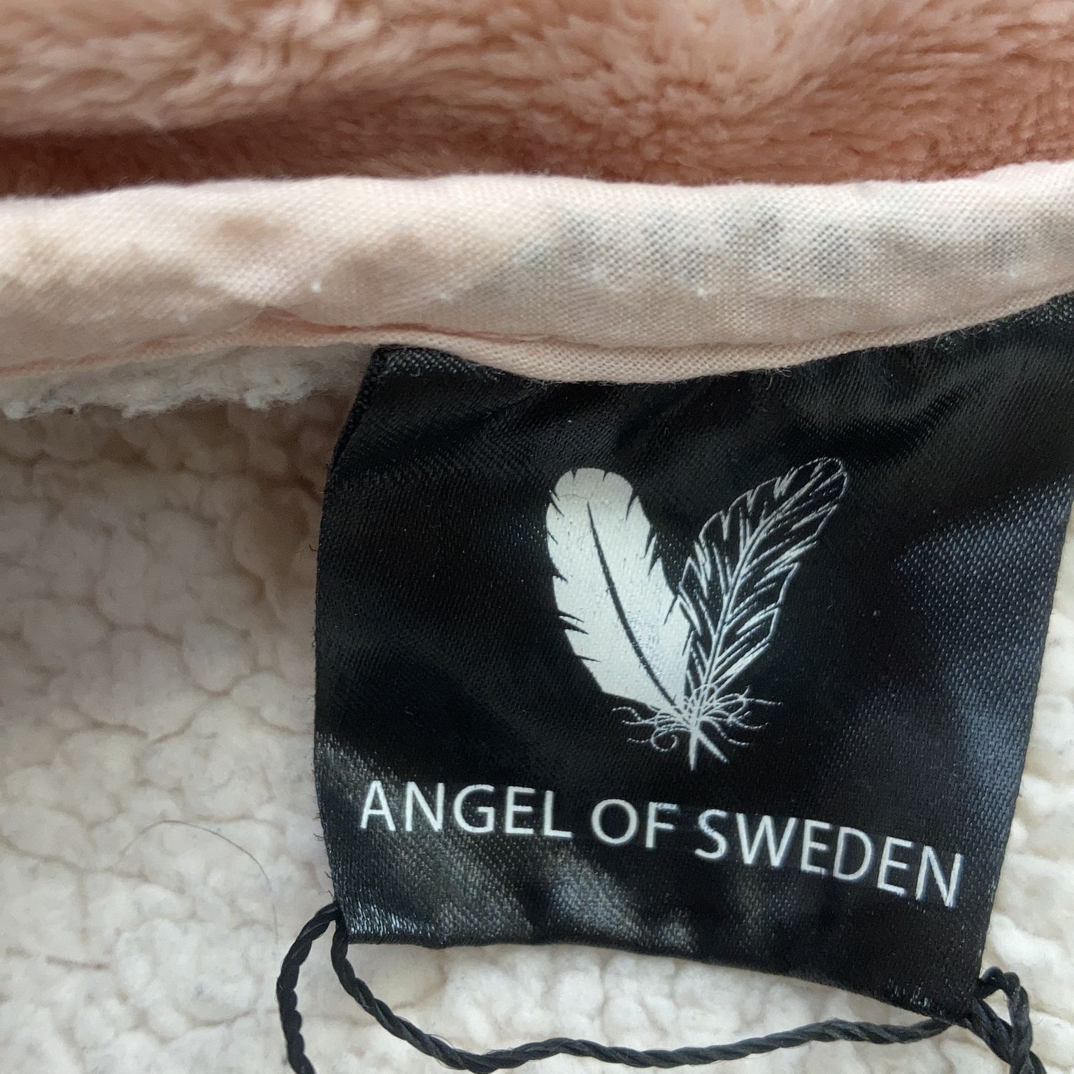 Angel of Sweden