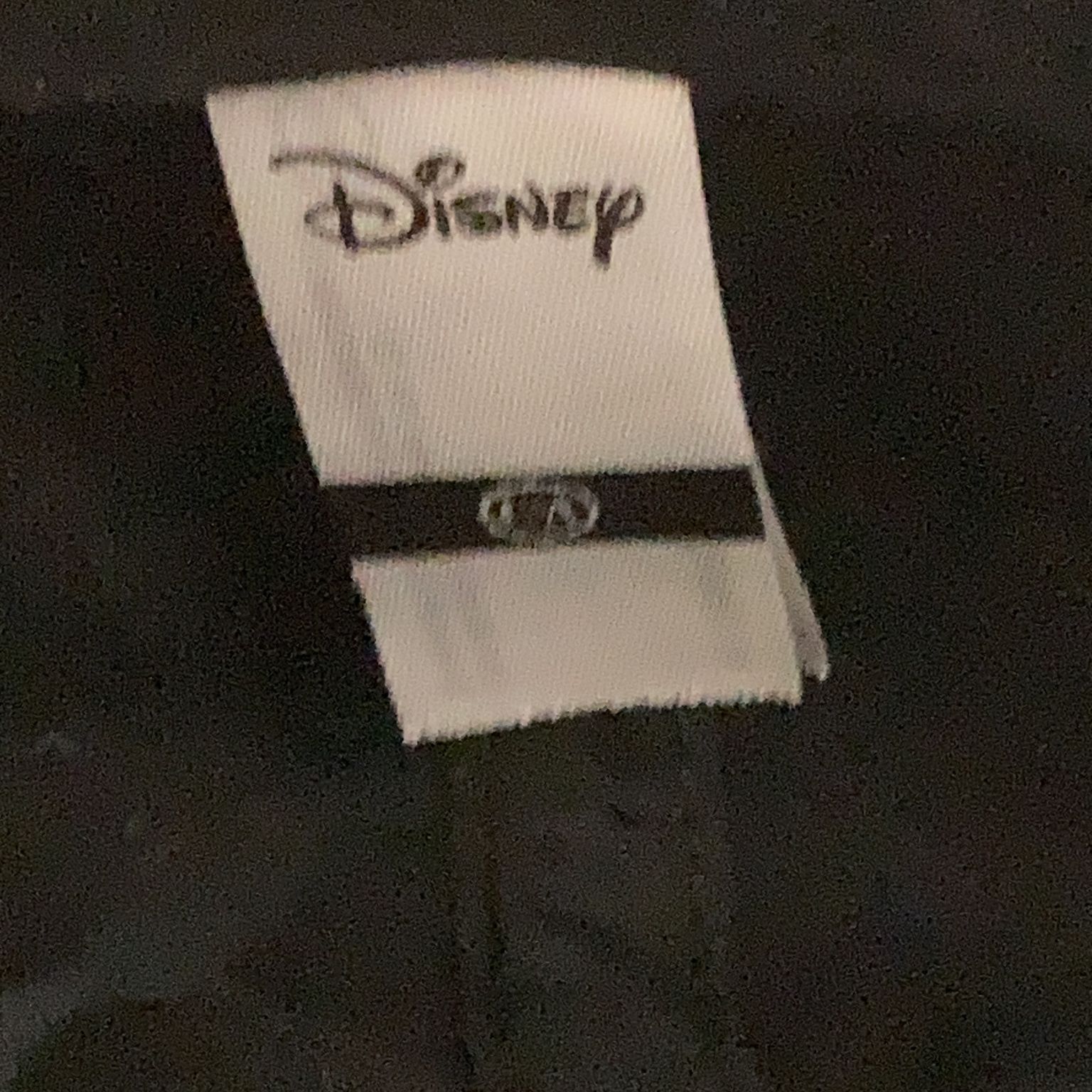 Disney at CA