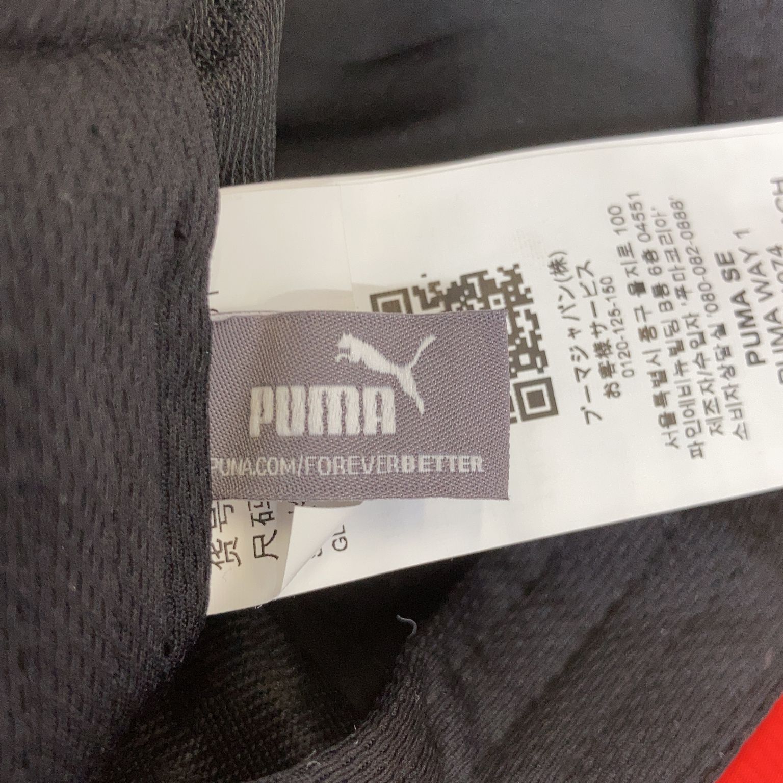 Puma