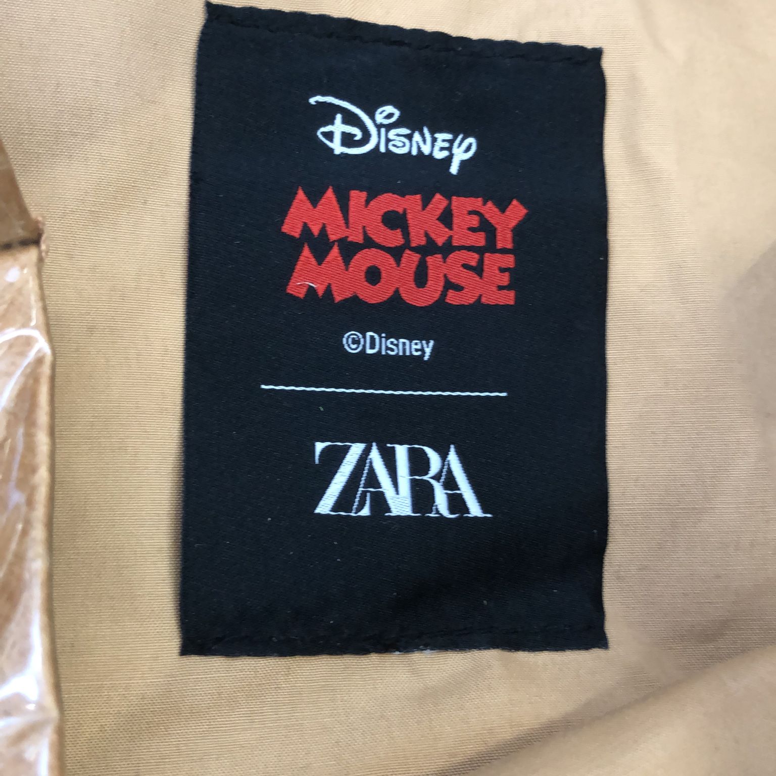 Zara x Disney