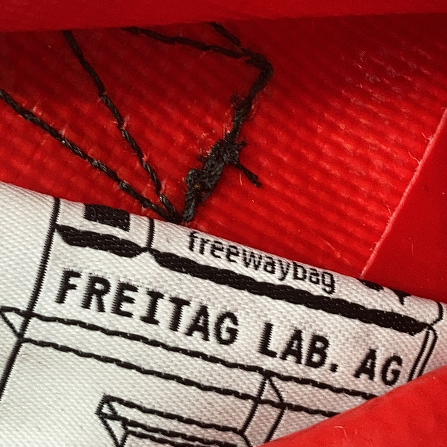 Freitag