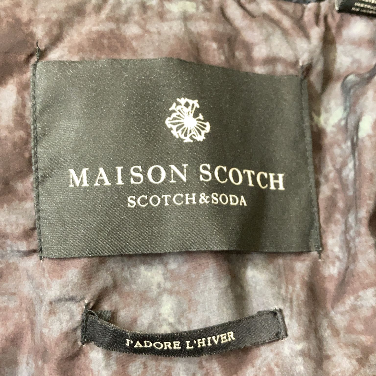 Maison Scotch