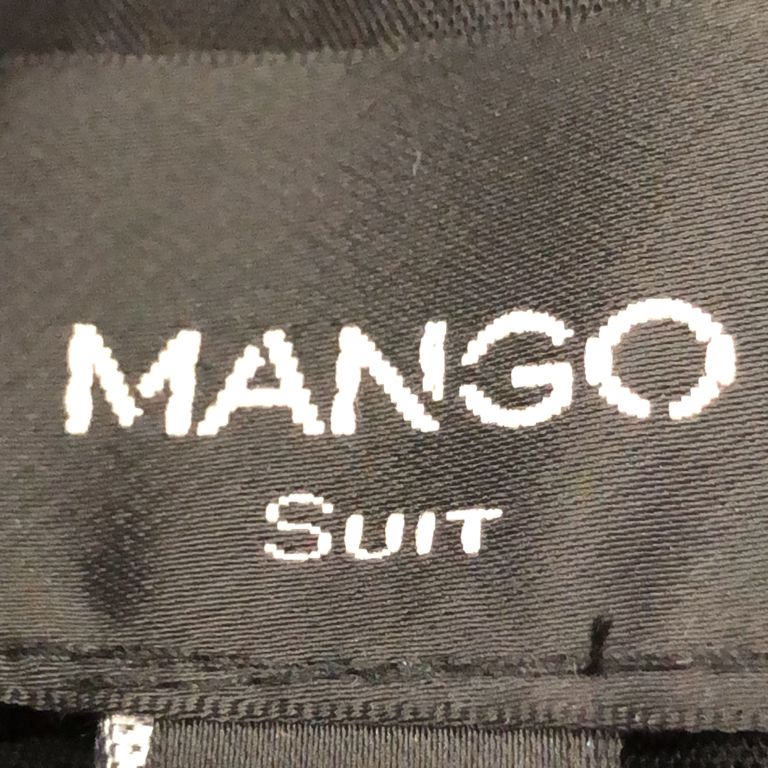 Mango Suit