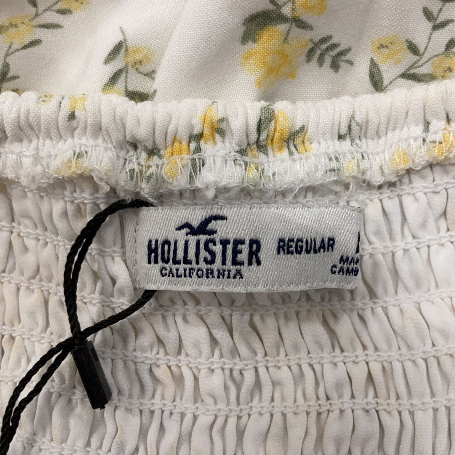 Hollister California