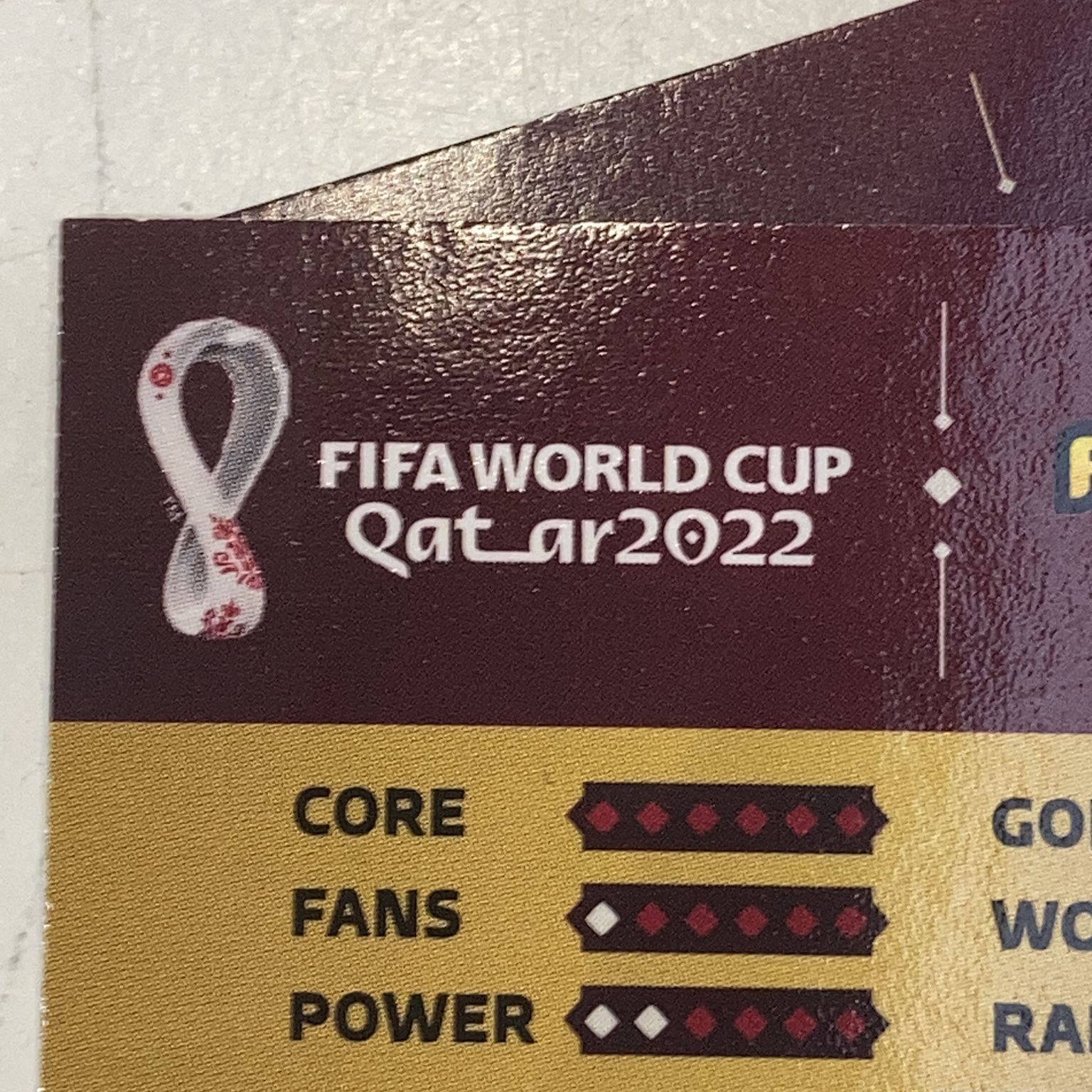 FIFA World Cup