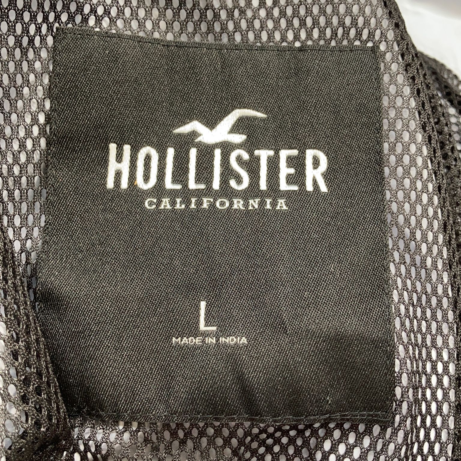 Hollister