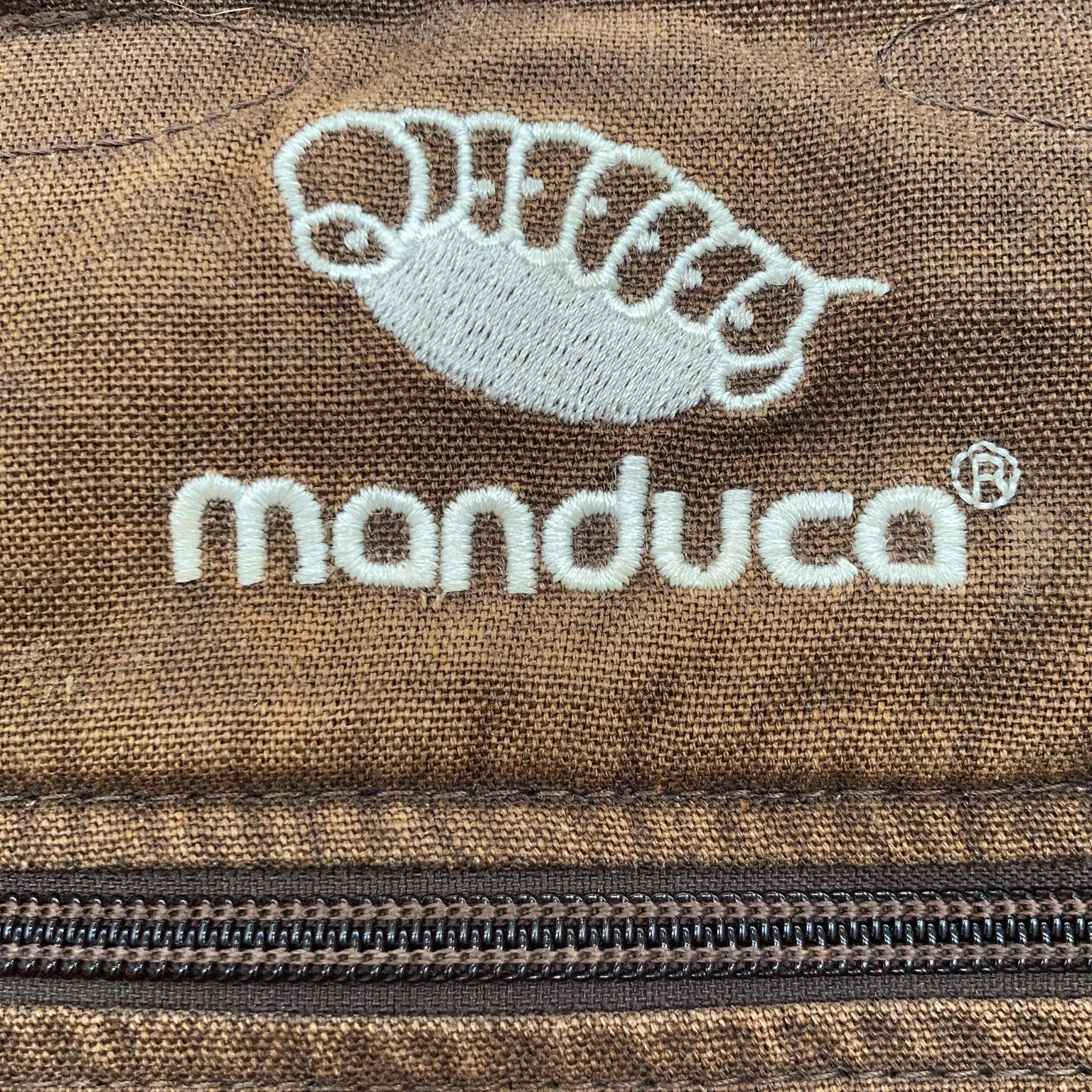 Manduca