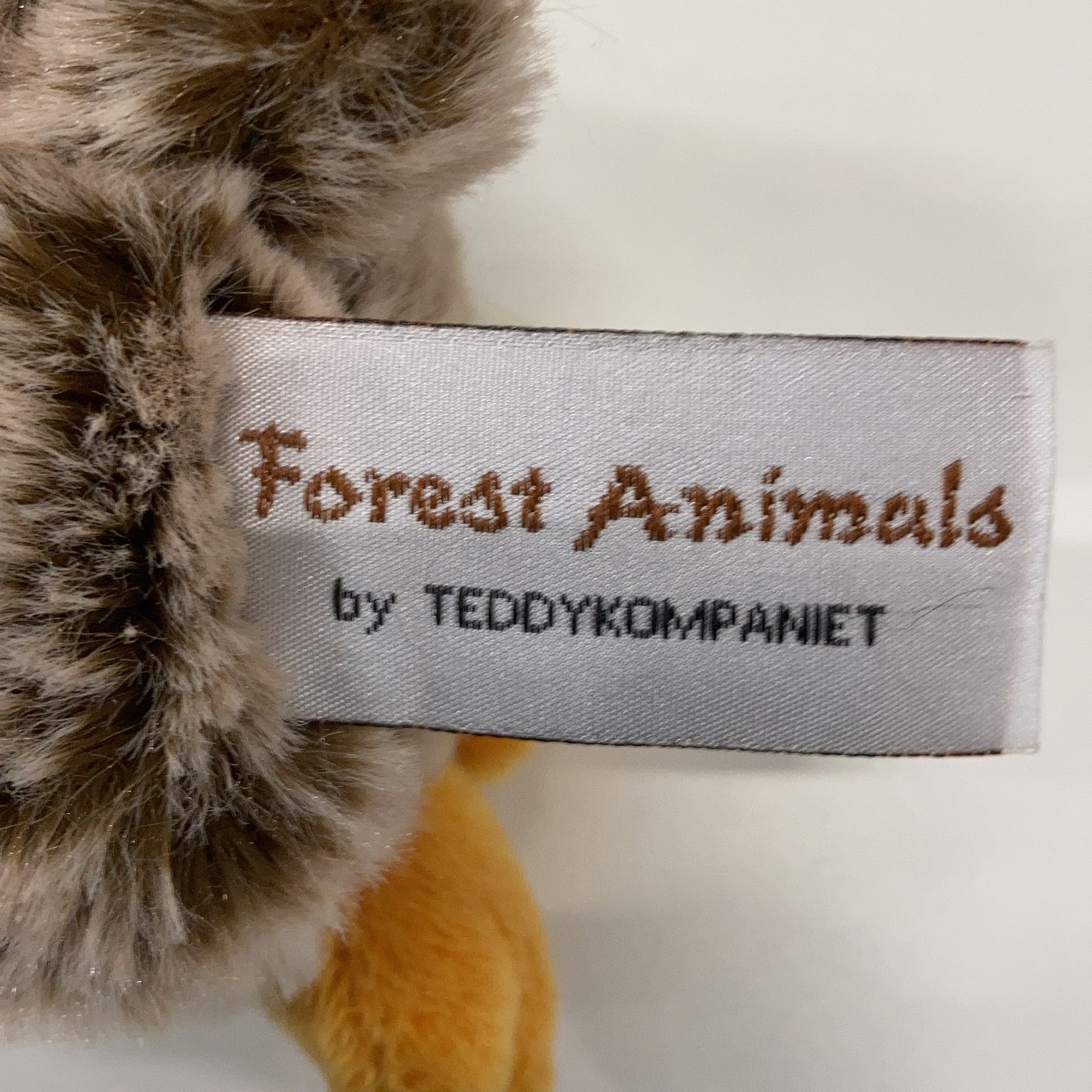 Forest Animals