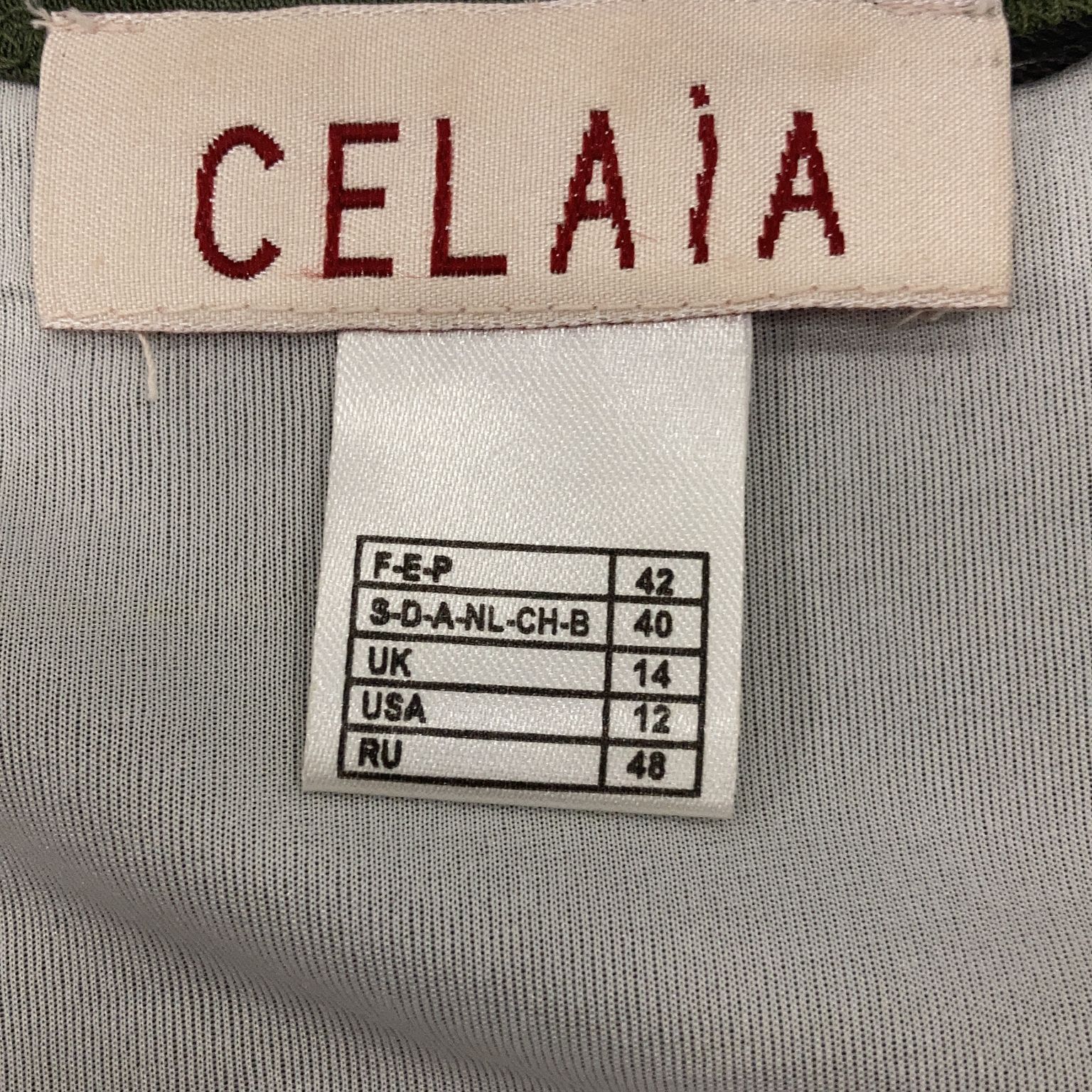 Celaia