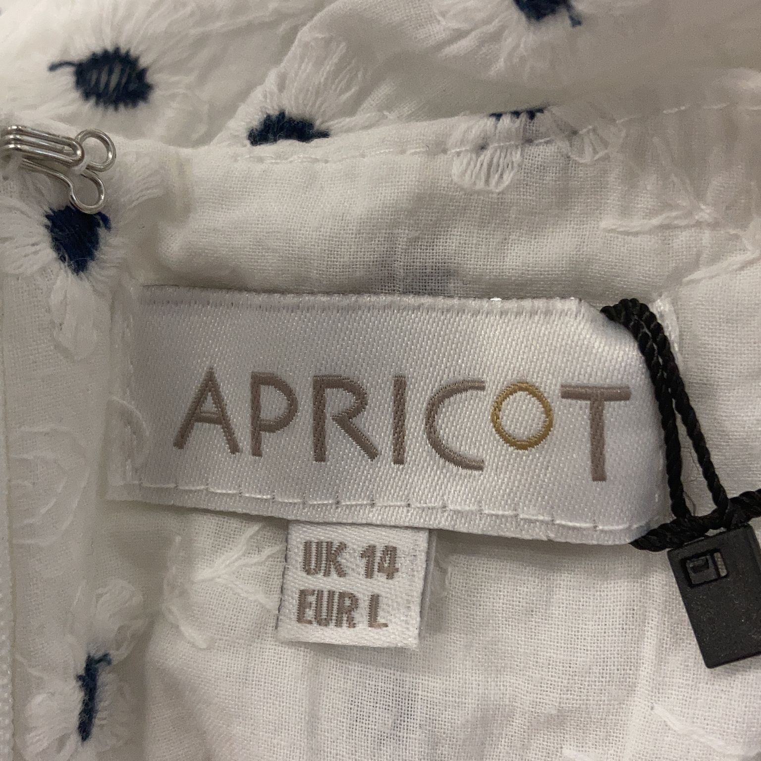 Apricot